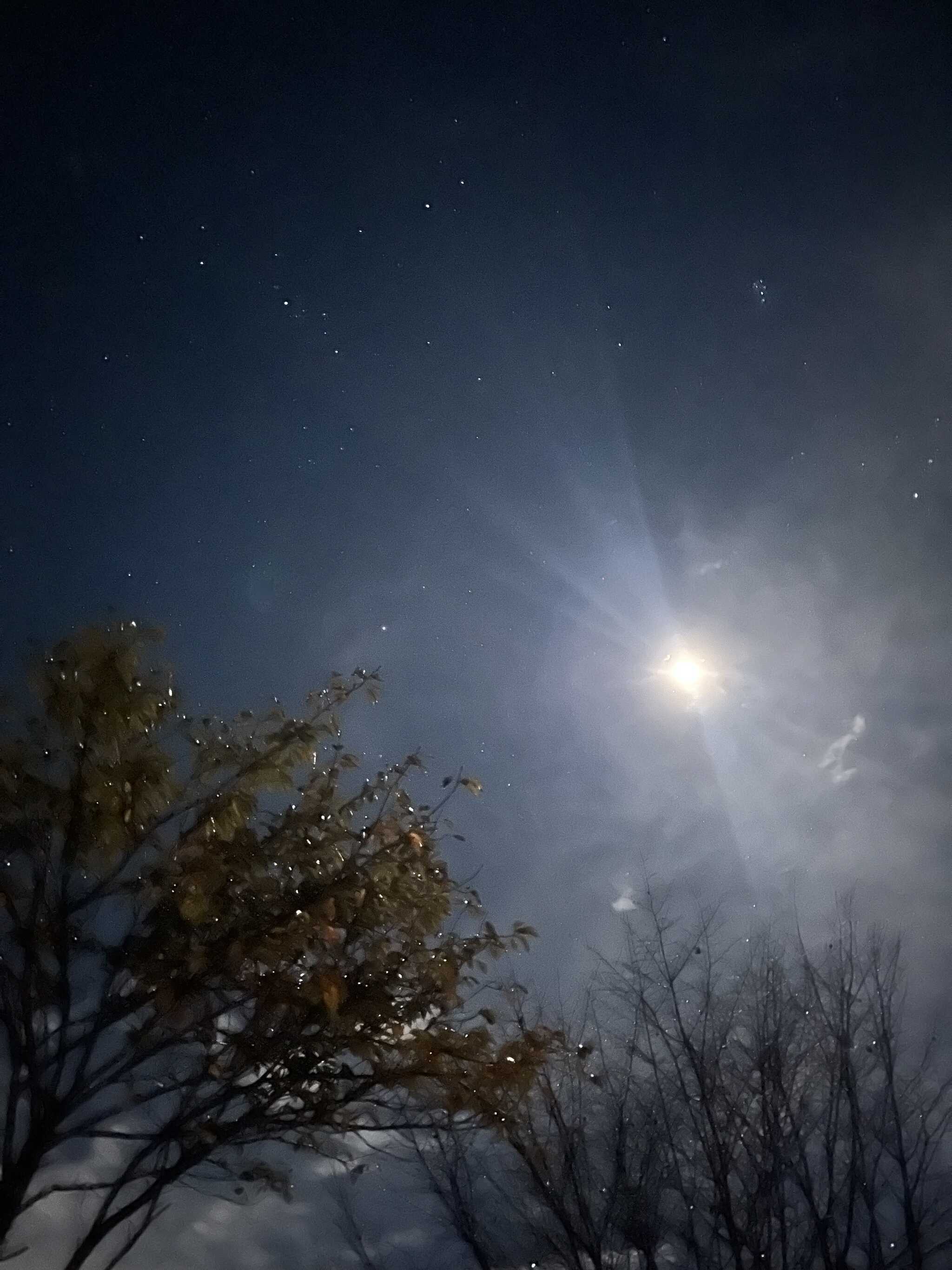 この後流れ星も見れました⋆ ☄︎. ·˚ *