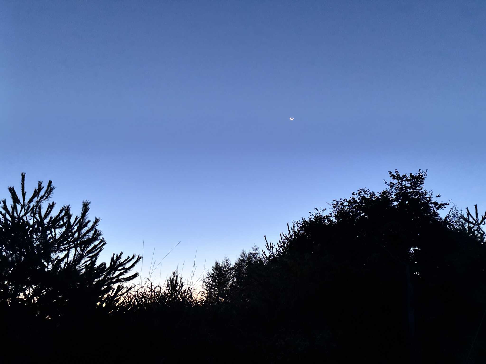 キャンプ場から、朝方の空