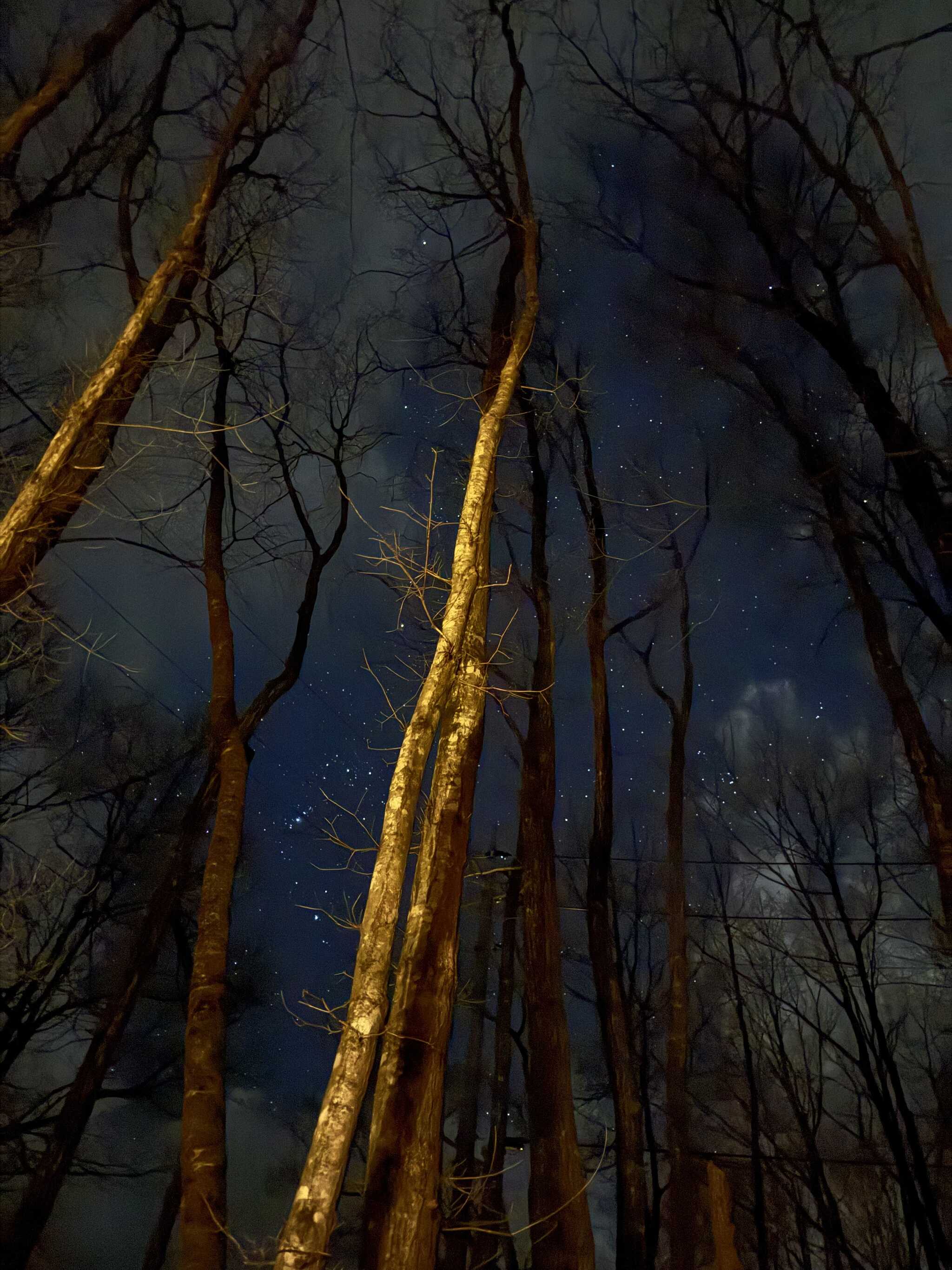 夜空