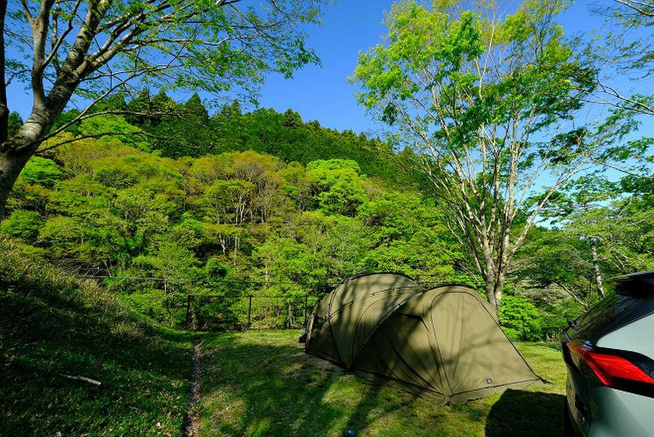 雲ひとつない青空と新緑が映えます。