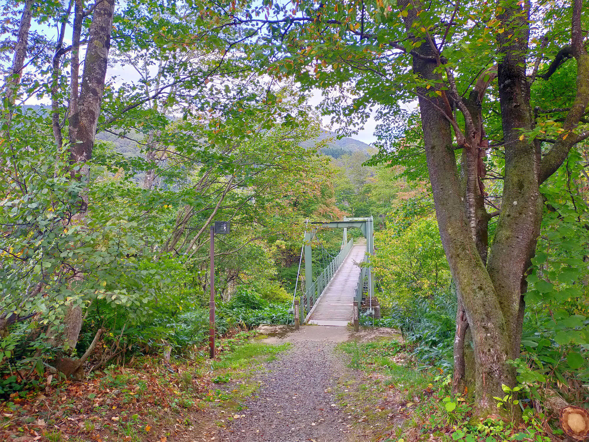 キャンプ場敷地内の吊り橋