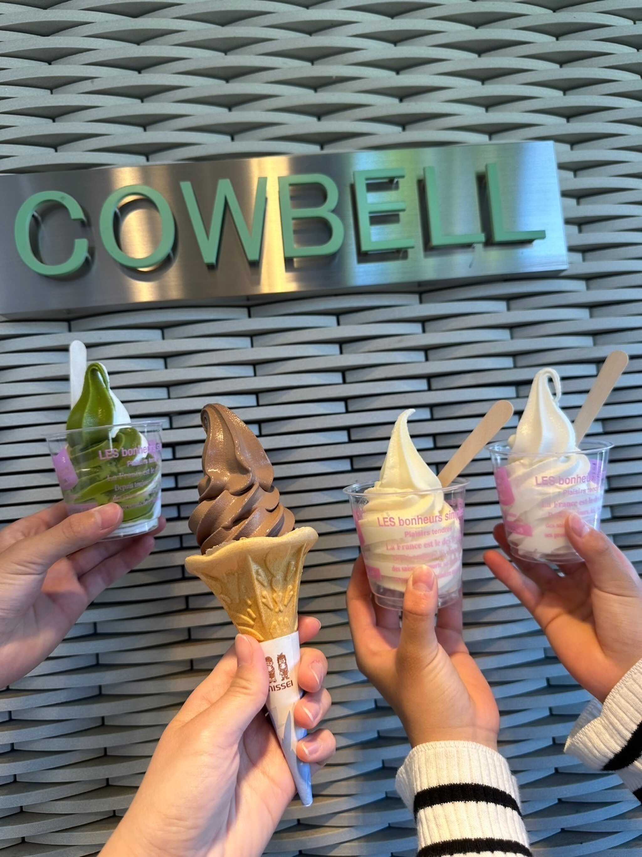 田園プラザのアイス