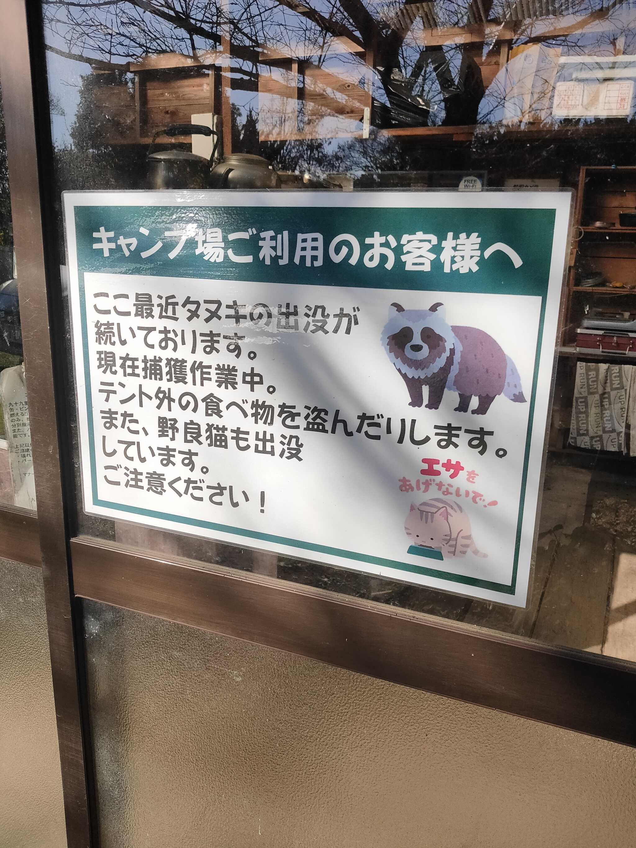 野良猫 狸に注意