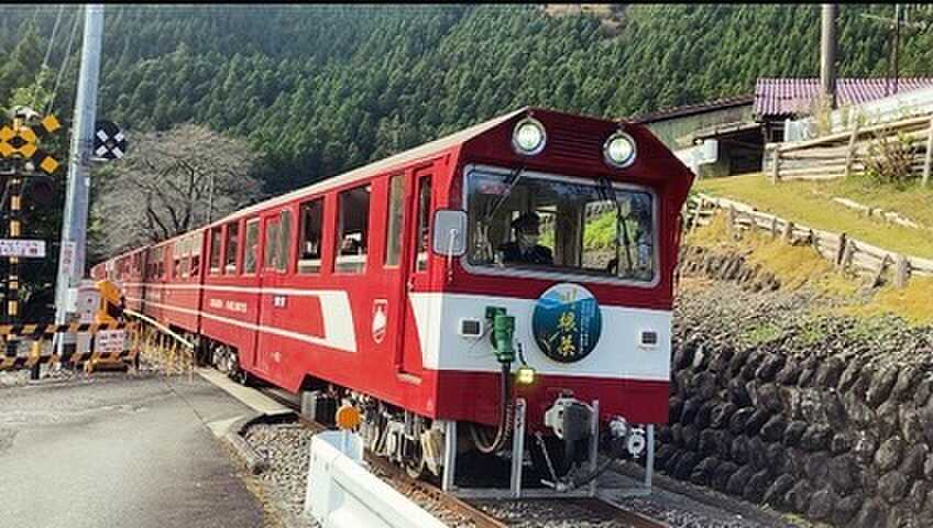 池の谷ファミリーキャンプ場の口コミ投稿写真