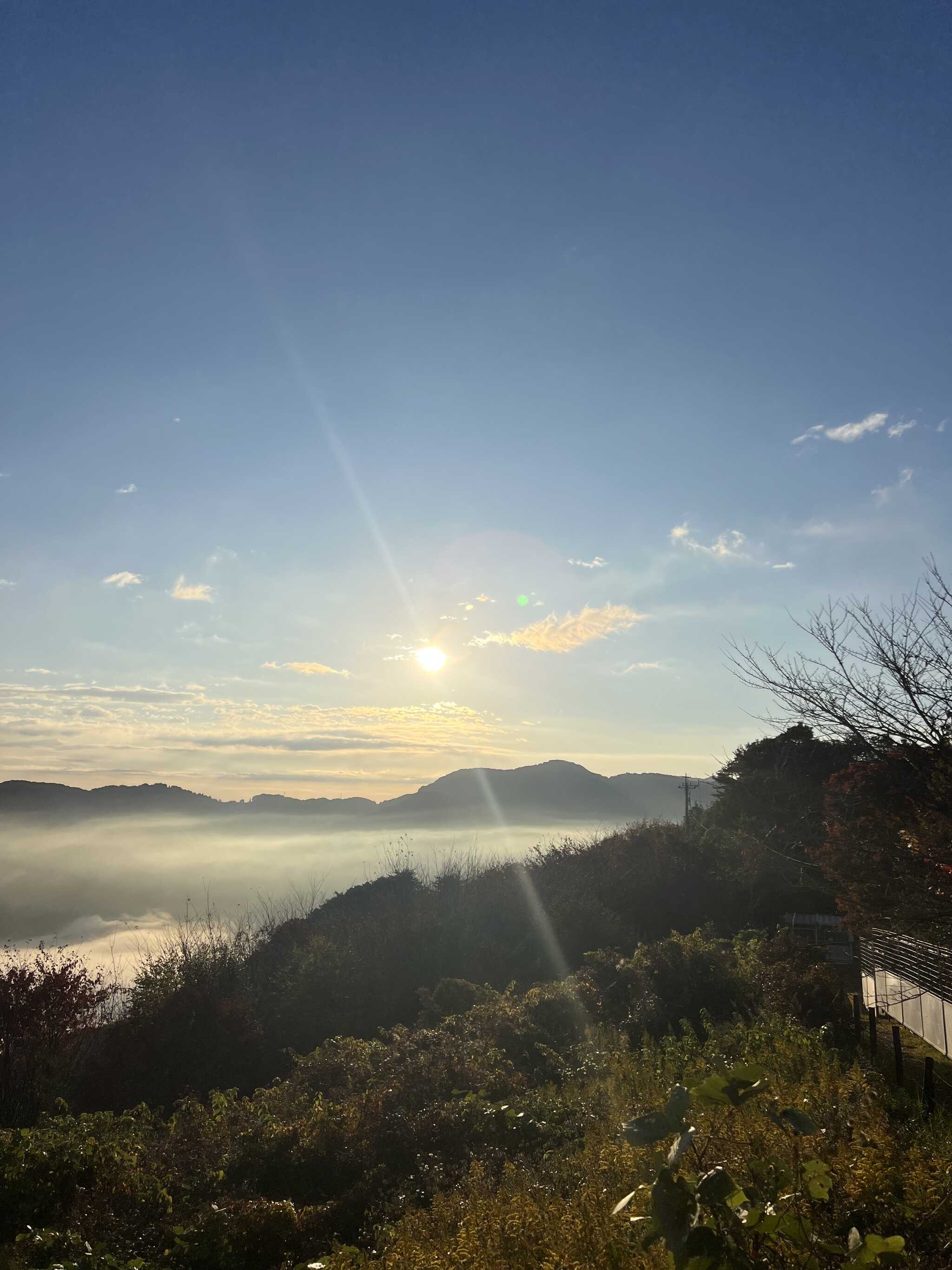 雲海