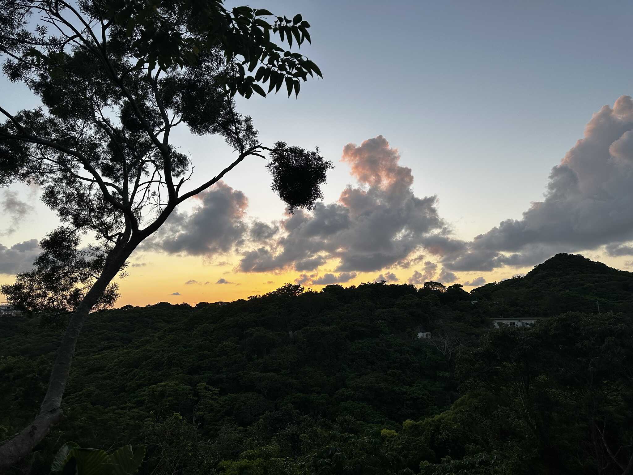 夕日