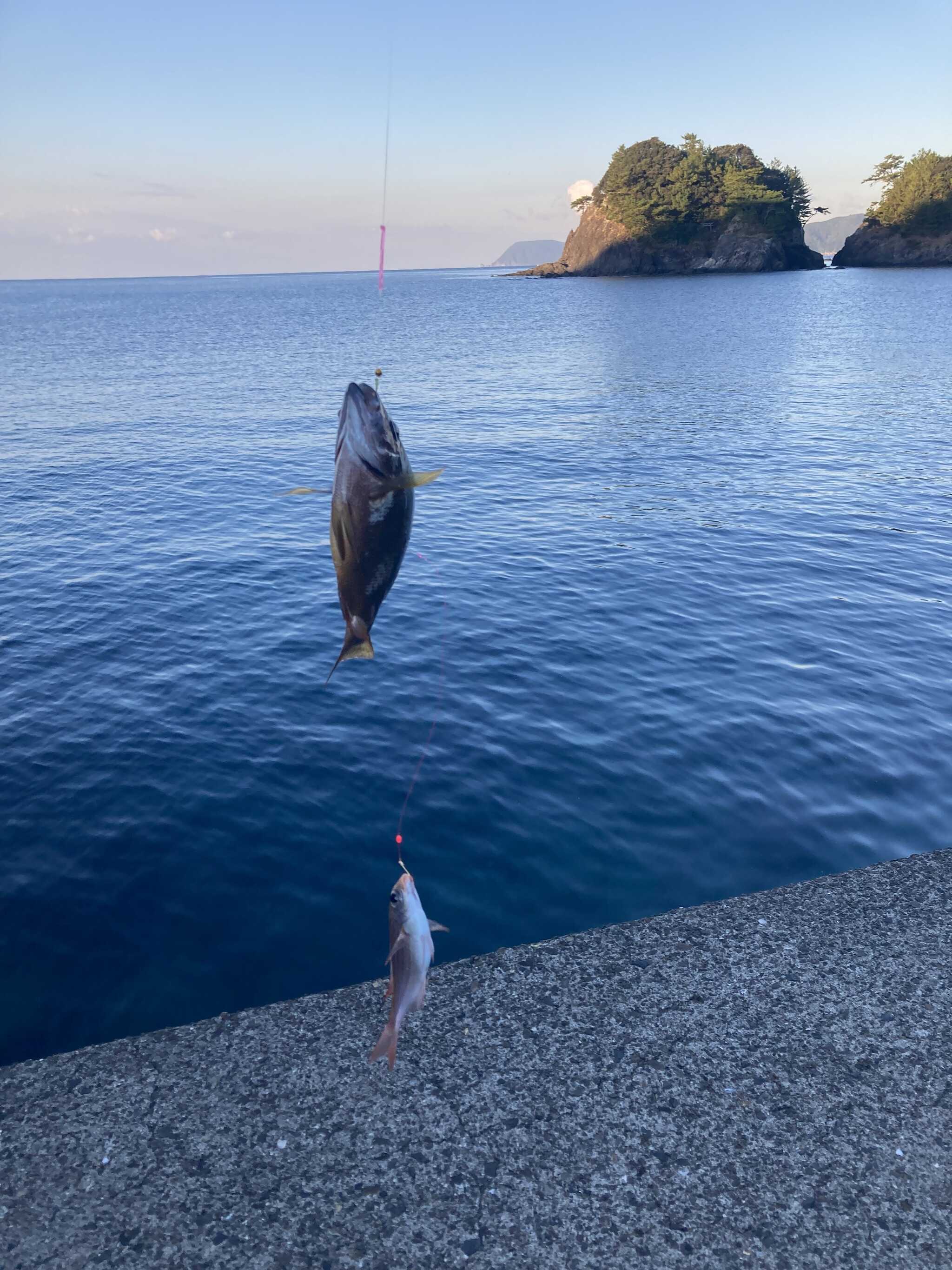 釣りの写真