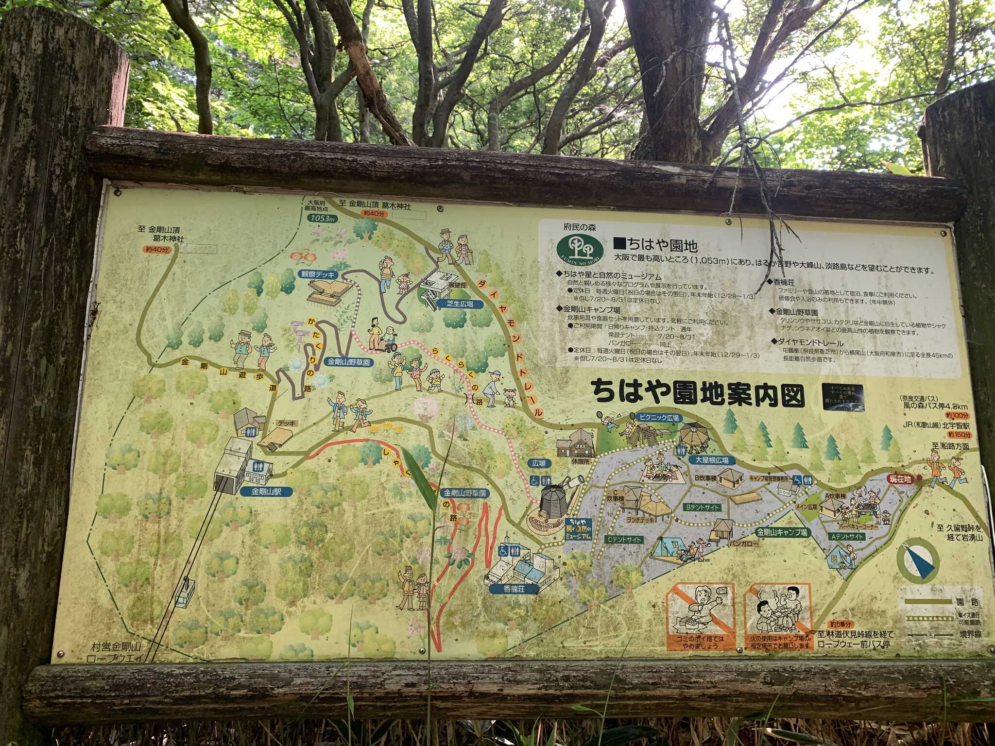 大阪府民の森 ちはや園地金剛山キャンプ場の写真 4枚目