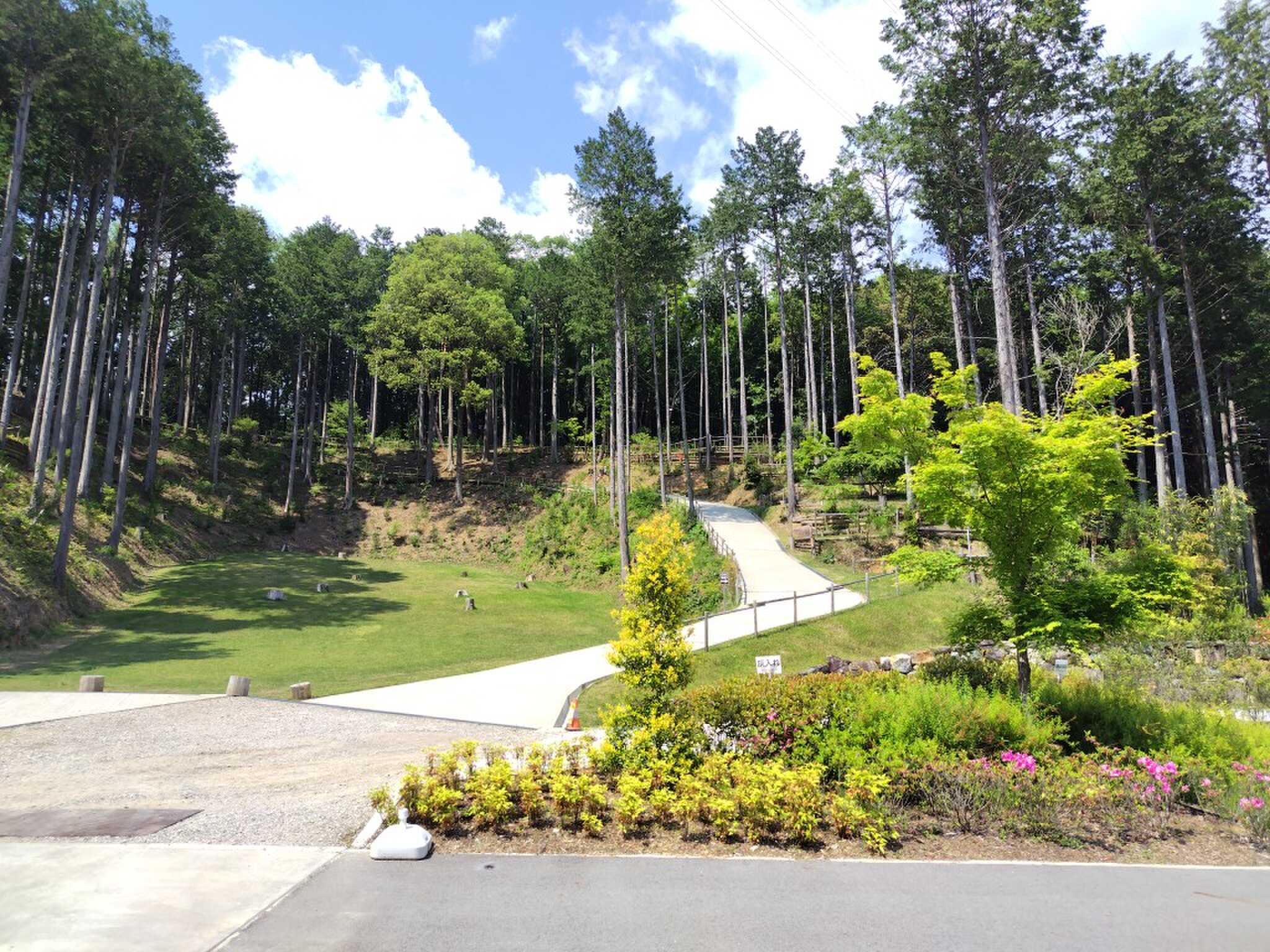 キャンプ場