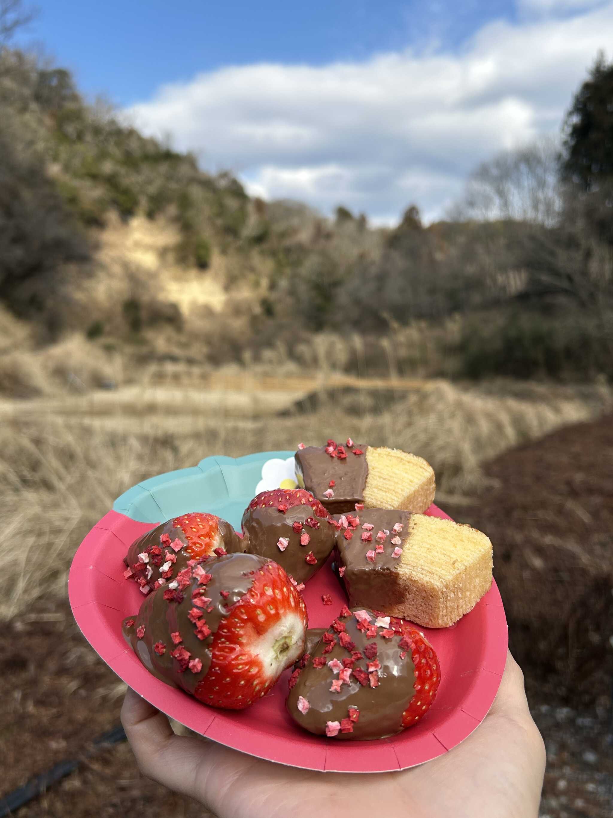 バレンタインキャンプ