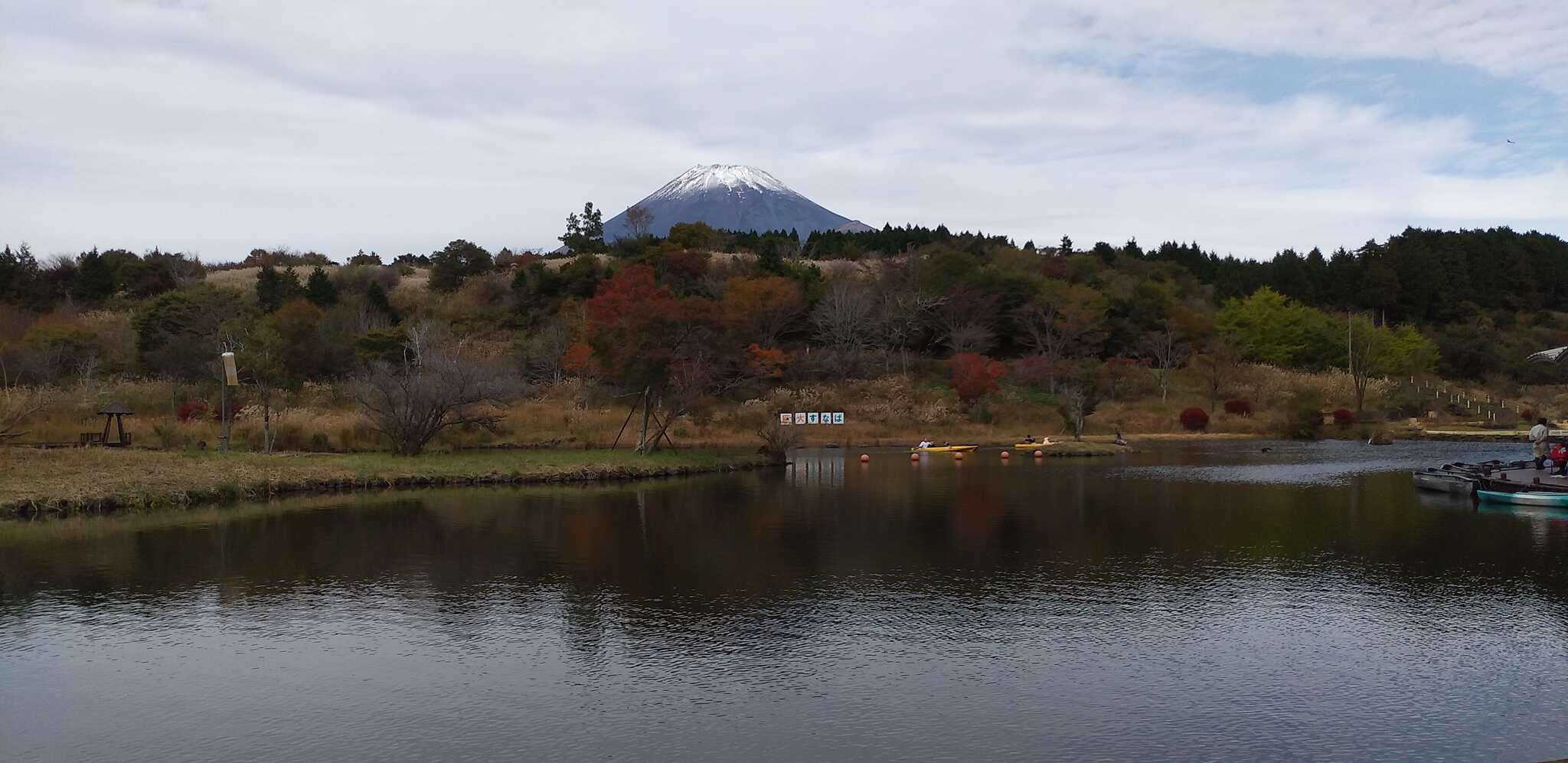 静岡県富士山こどもの国の写真 4枚目