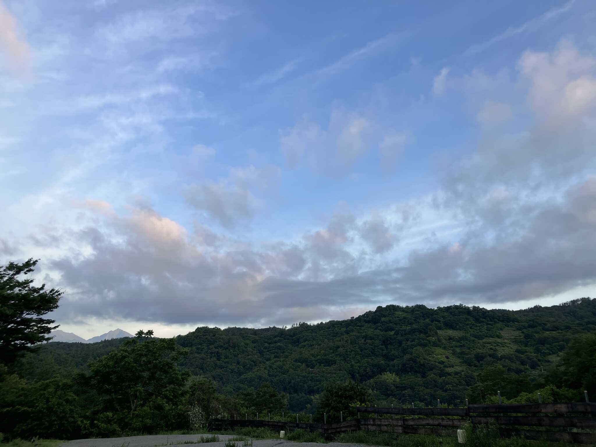 サイトから見た景色