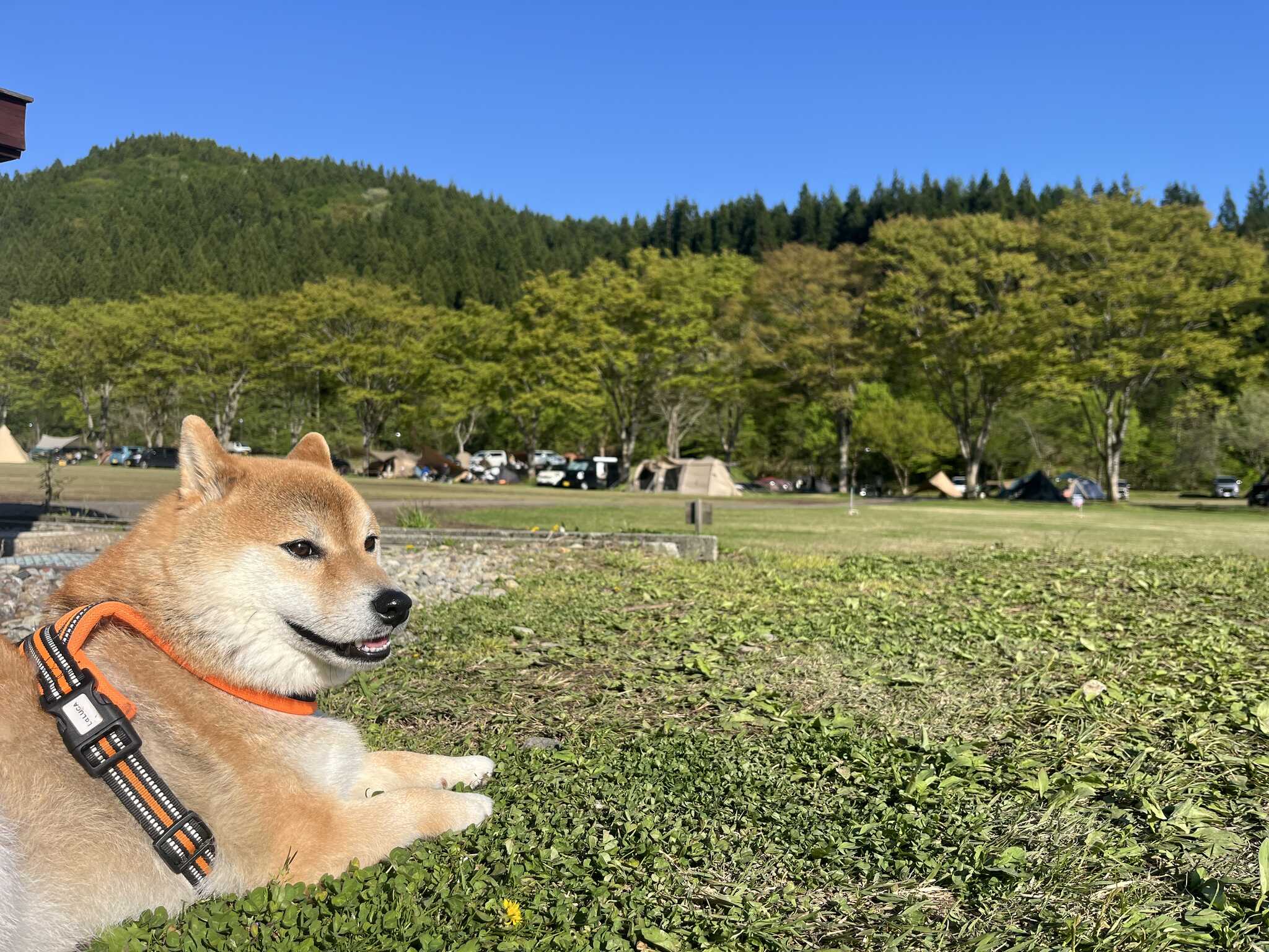 広いです