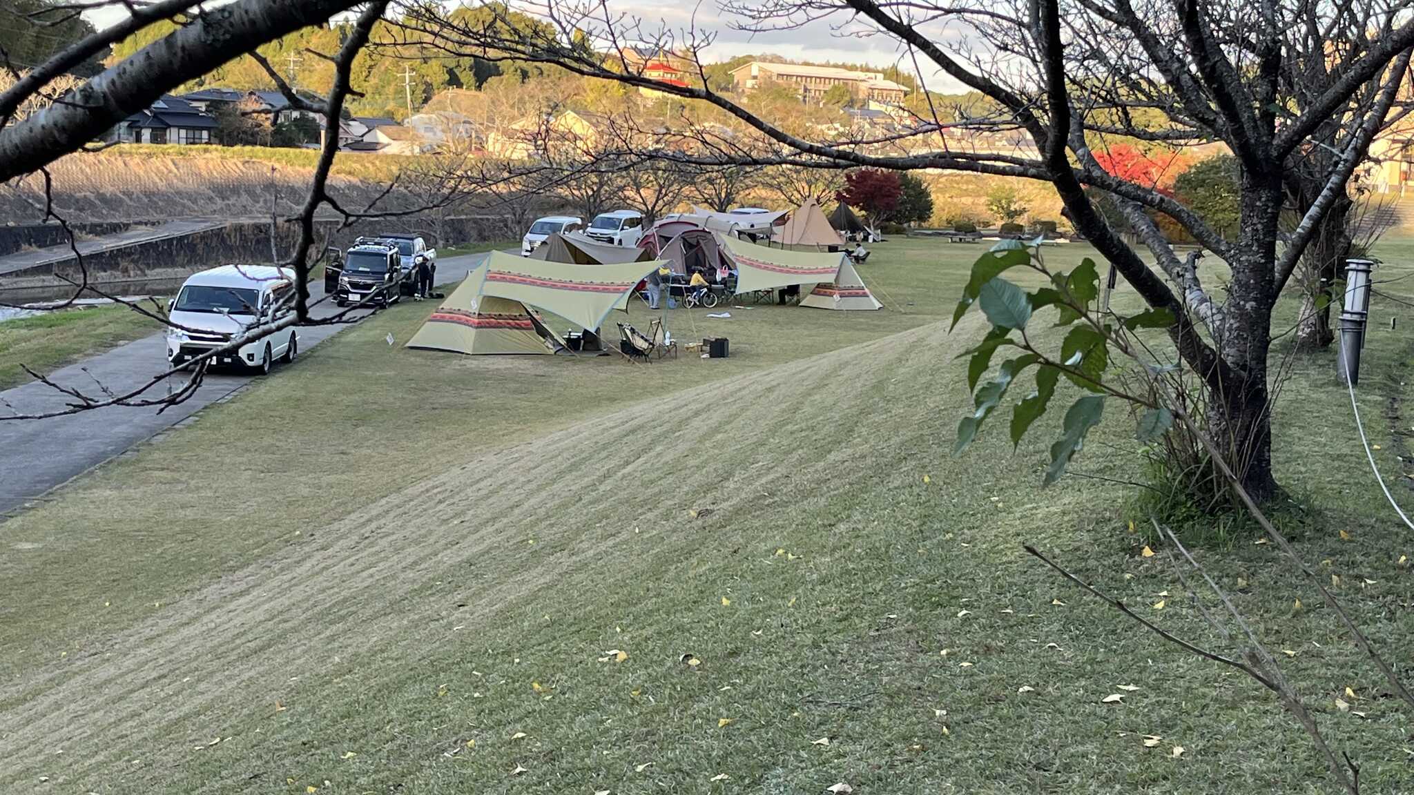 管理棟付近から見下ろしたサイトの風景