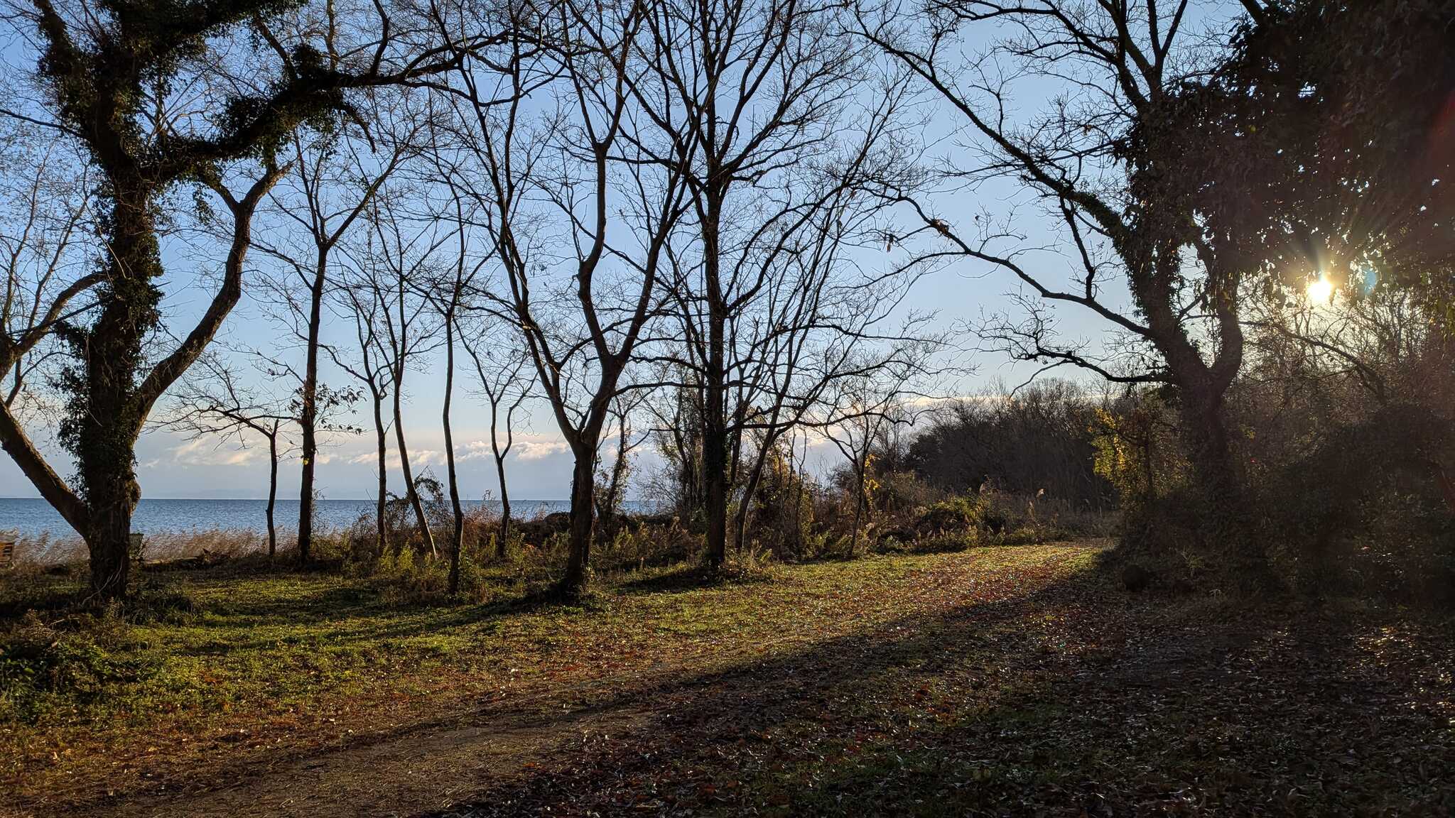 朝日