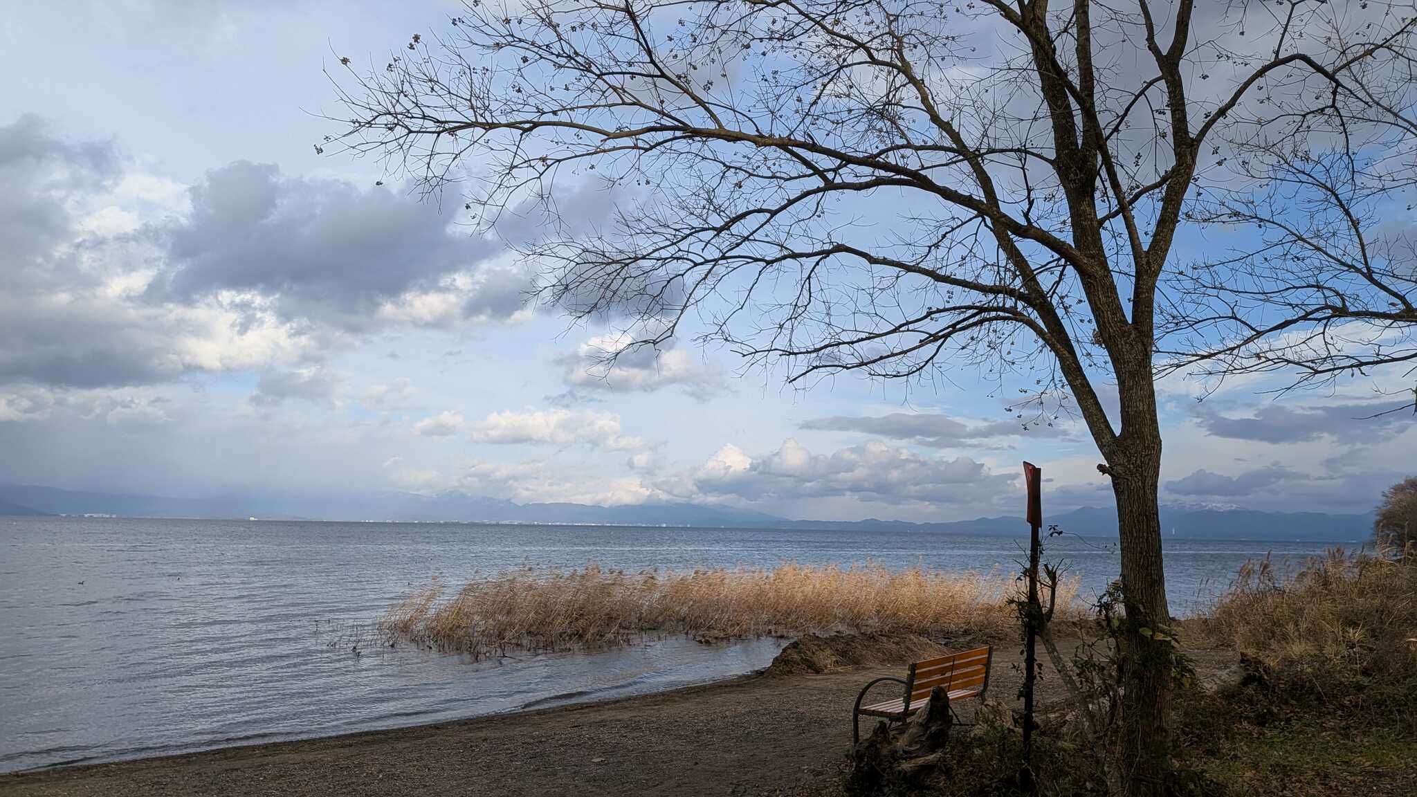 木々を抜けた先の琵琶湖