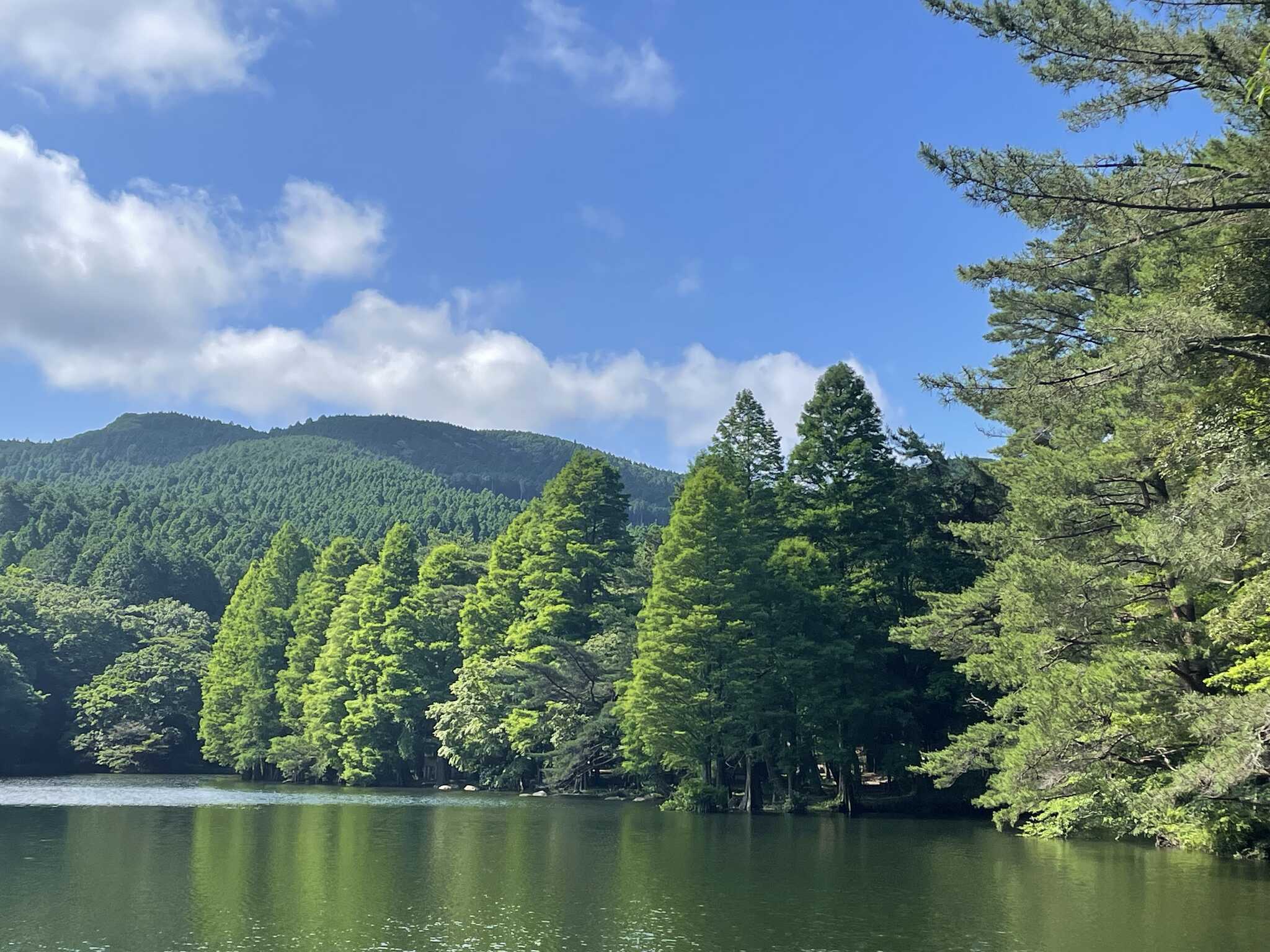 湖
