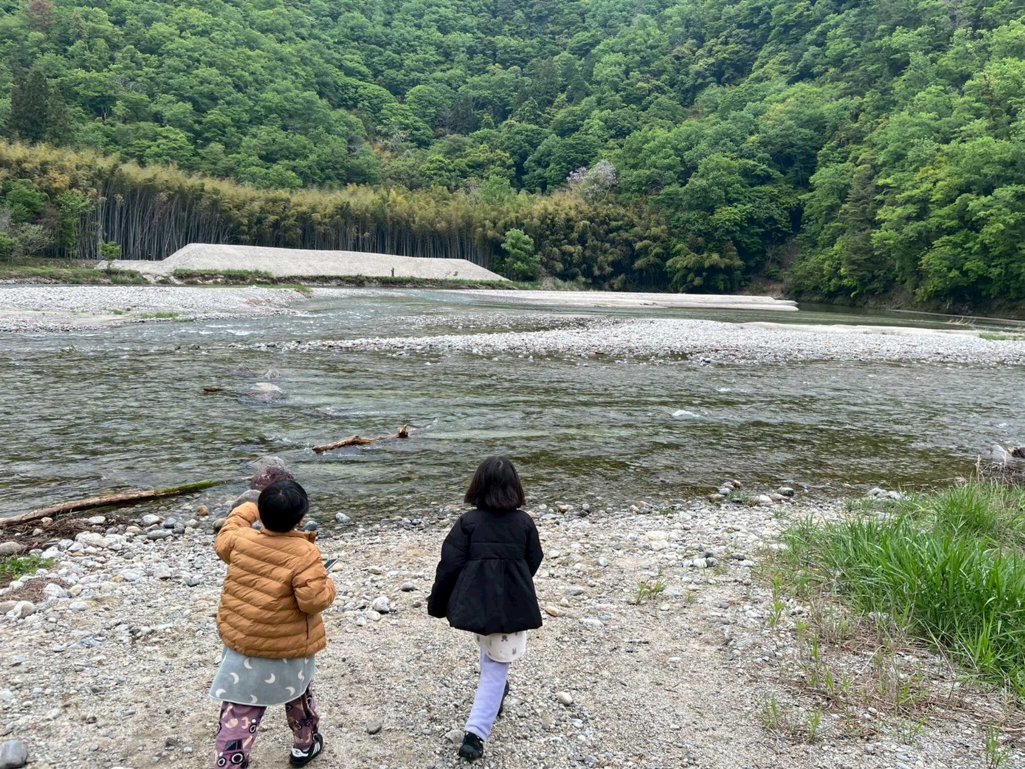 サイト前川岸