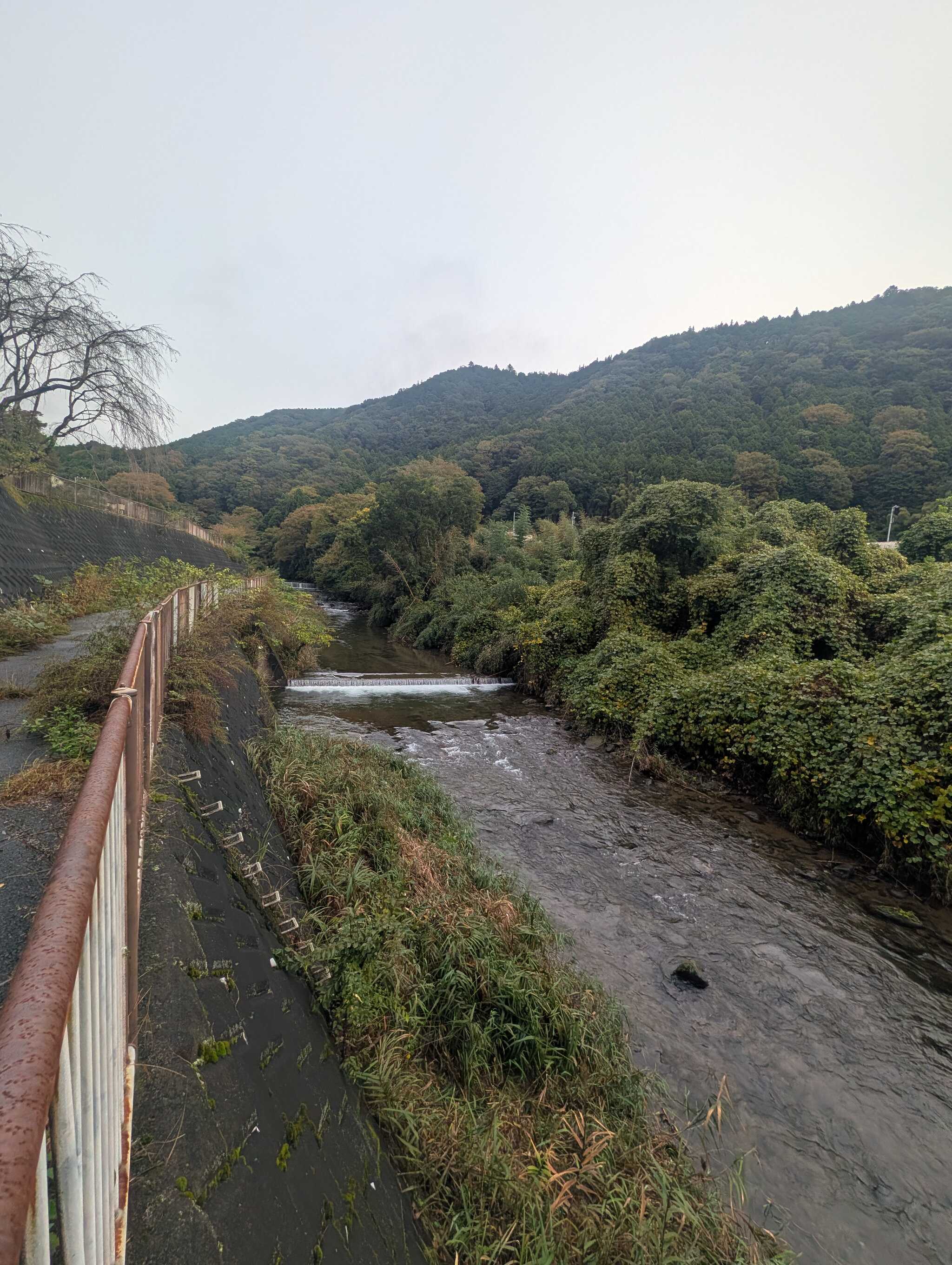 小鮎川