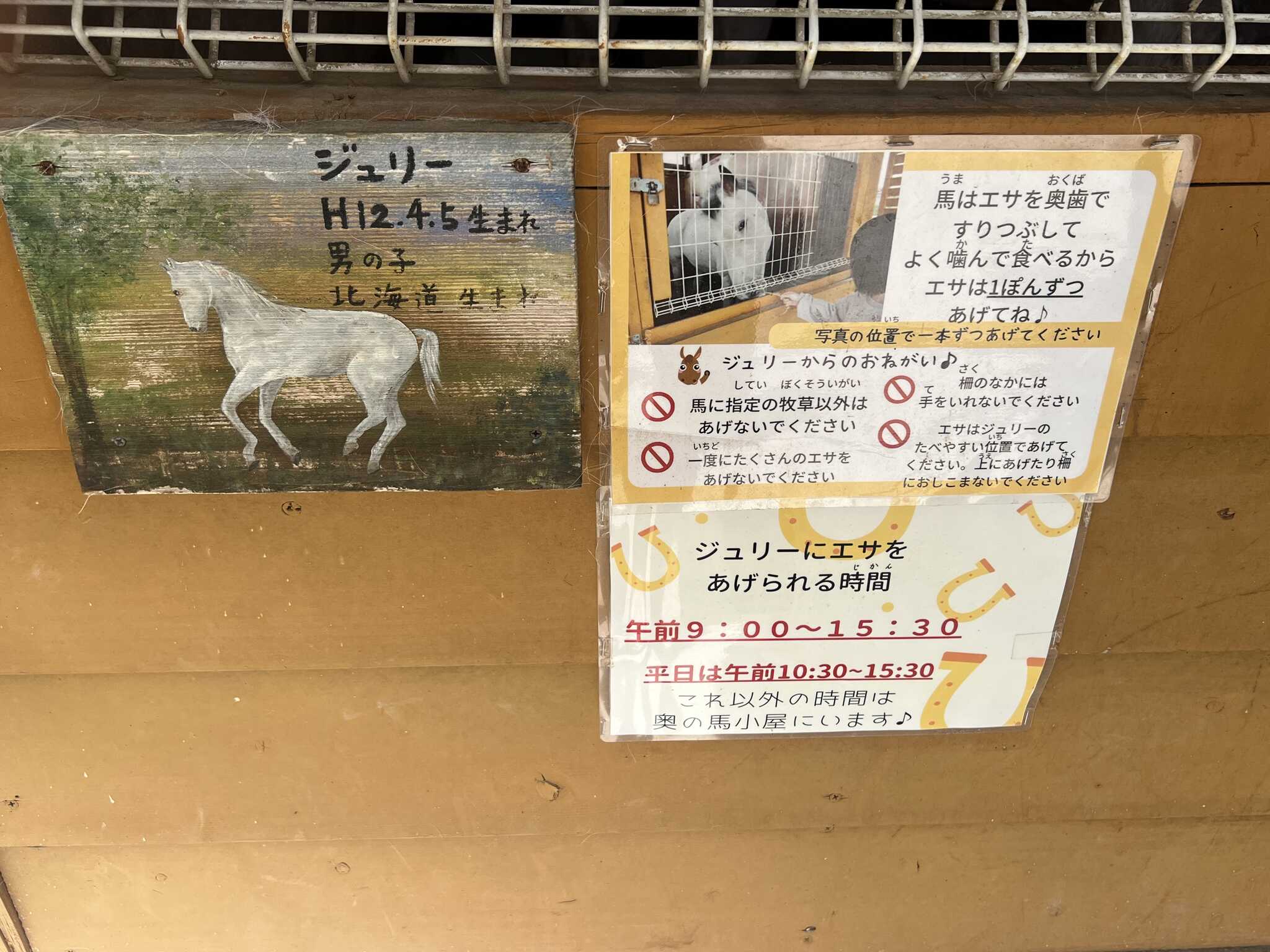 ジュリーくん