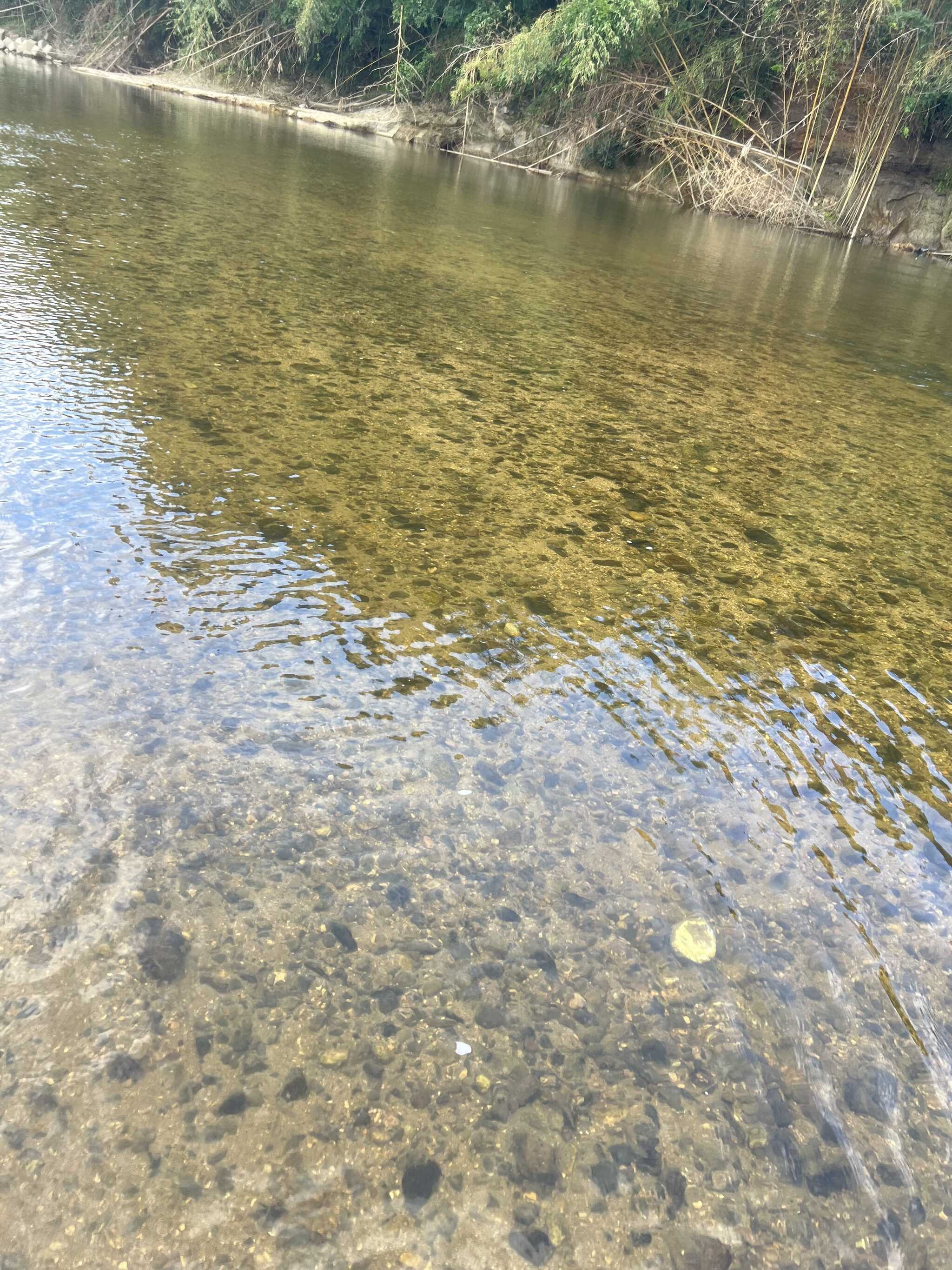 川