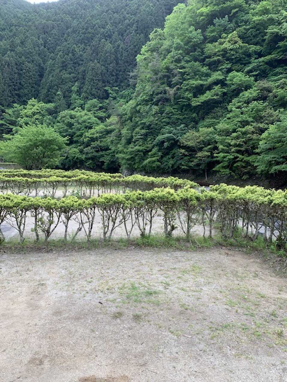隣とは垣根あり