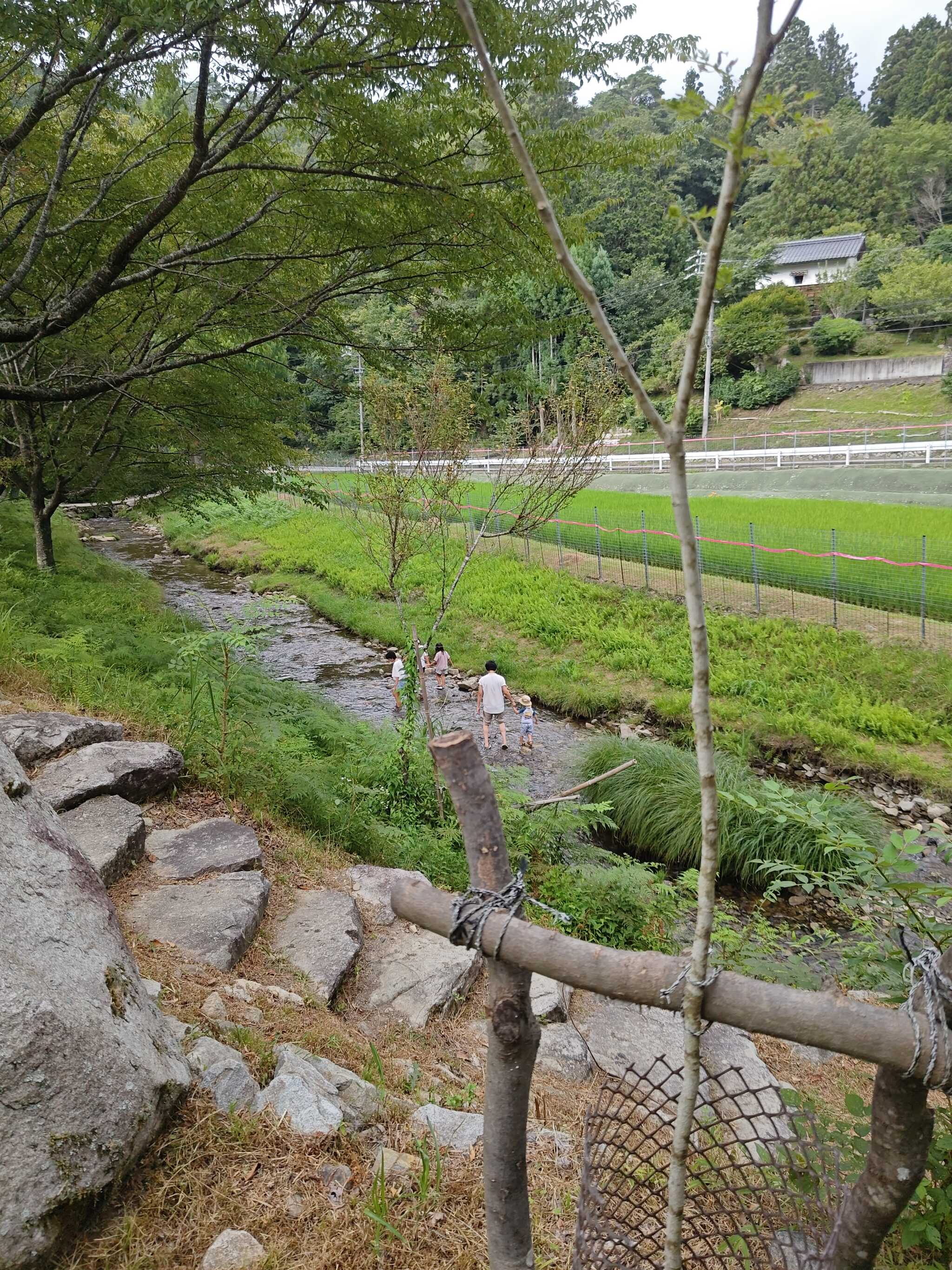 小川で遊ぶ人達