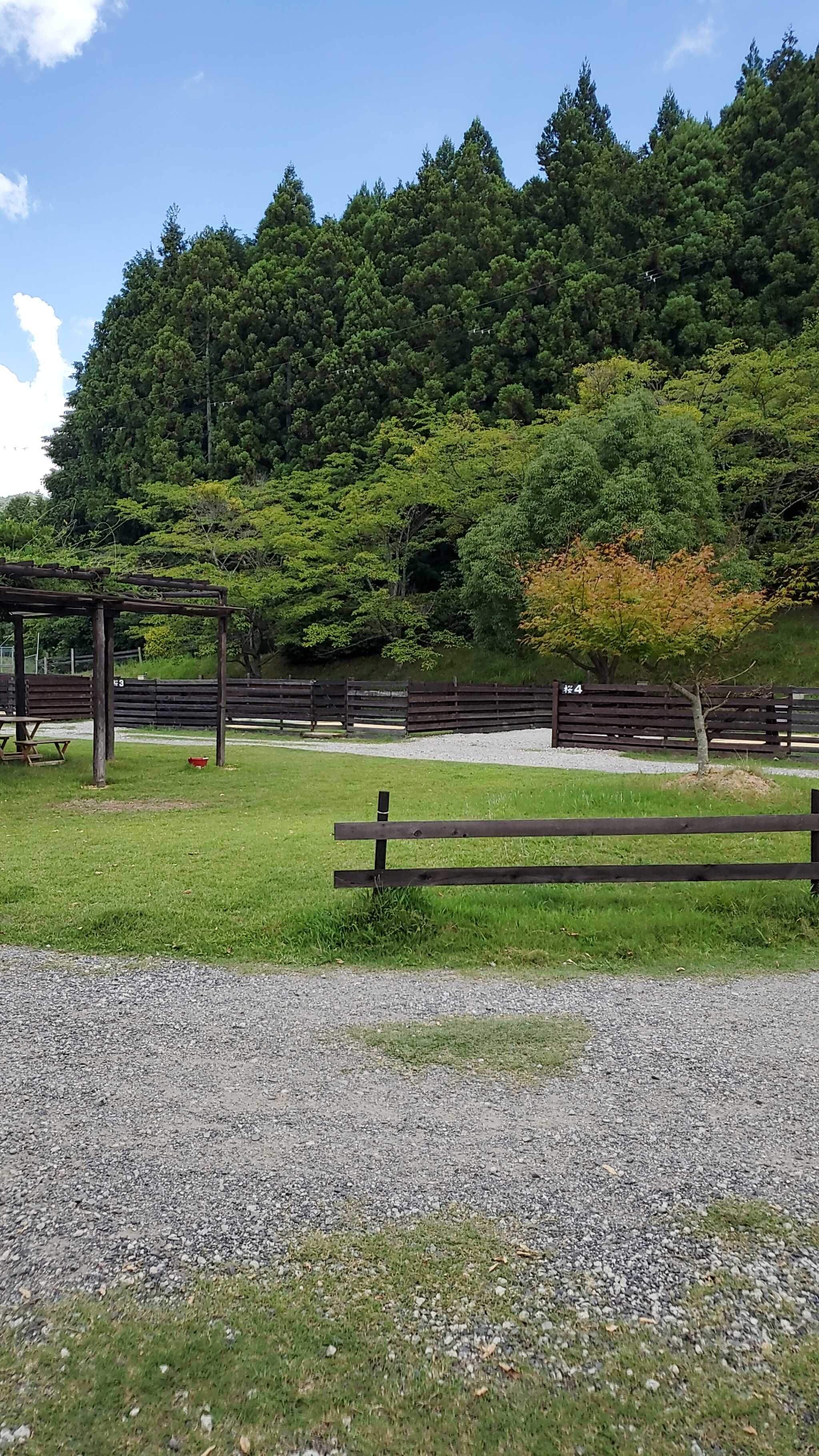 キャンプ場内