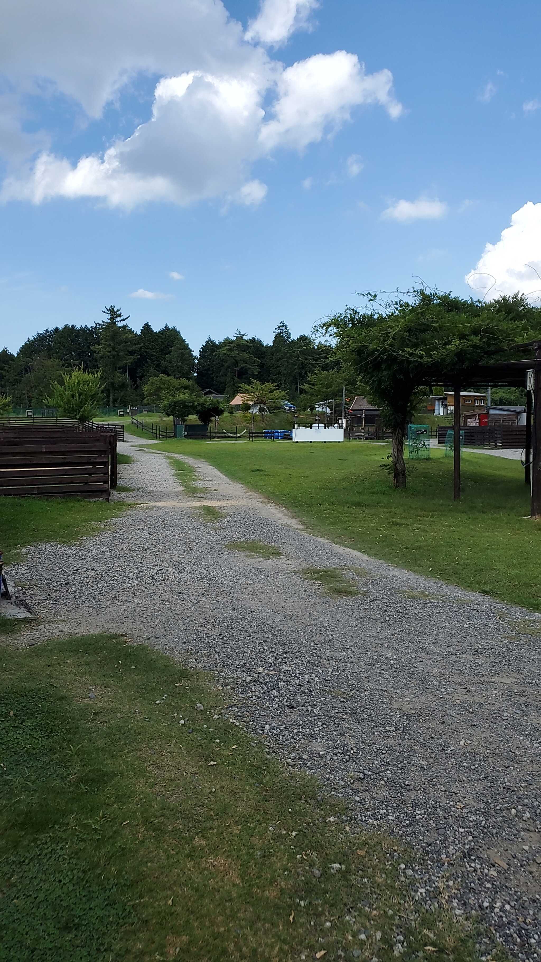 キャンプ場内