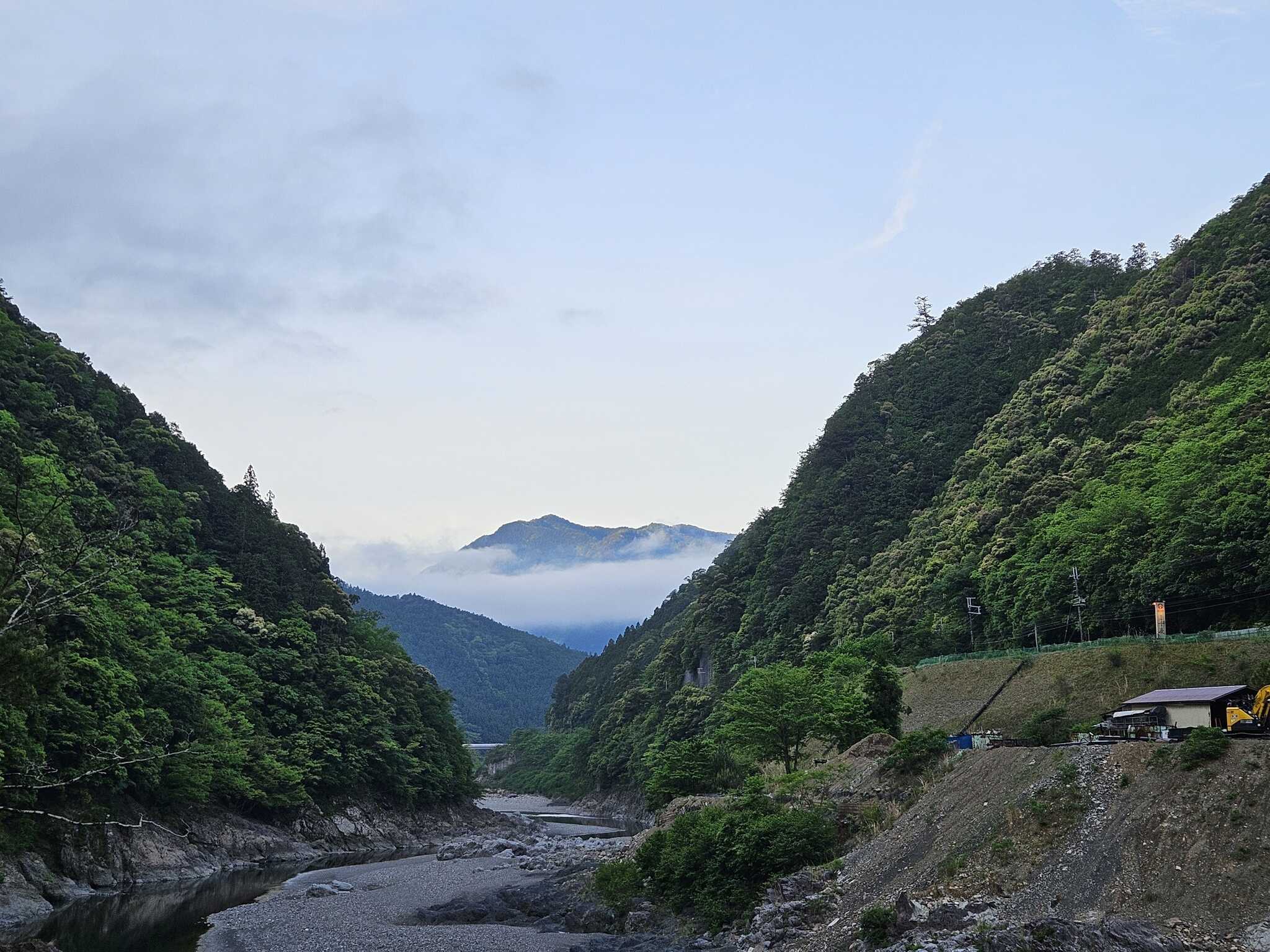 朝靄