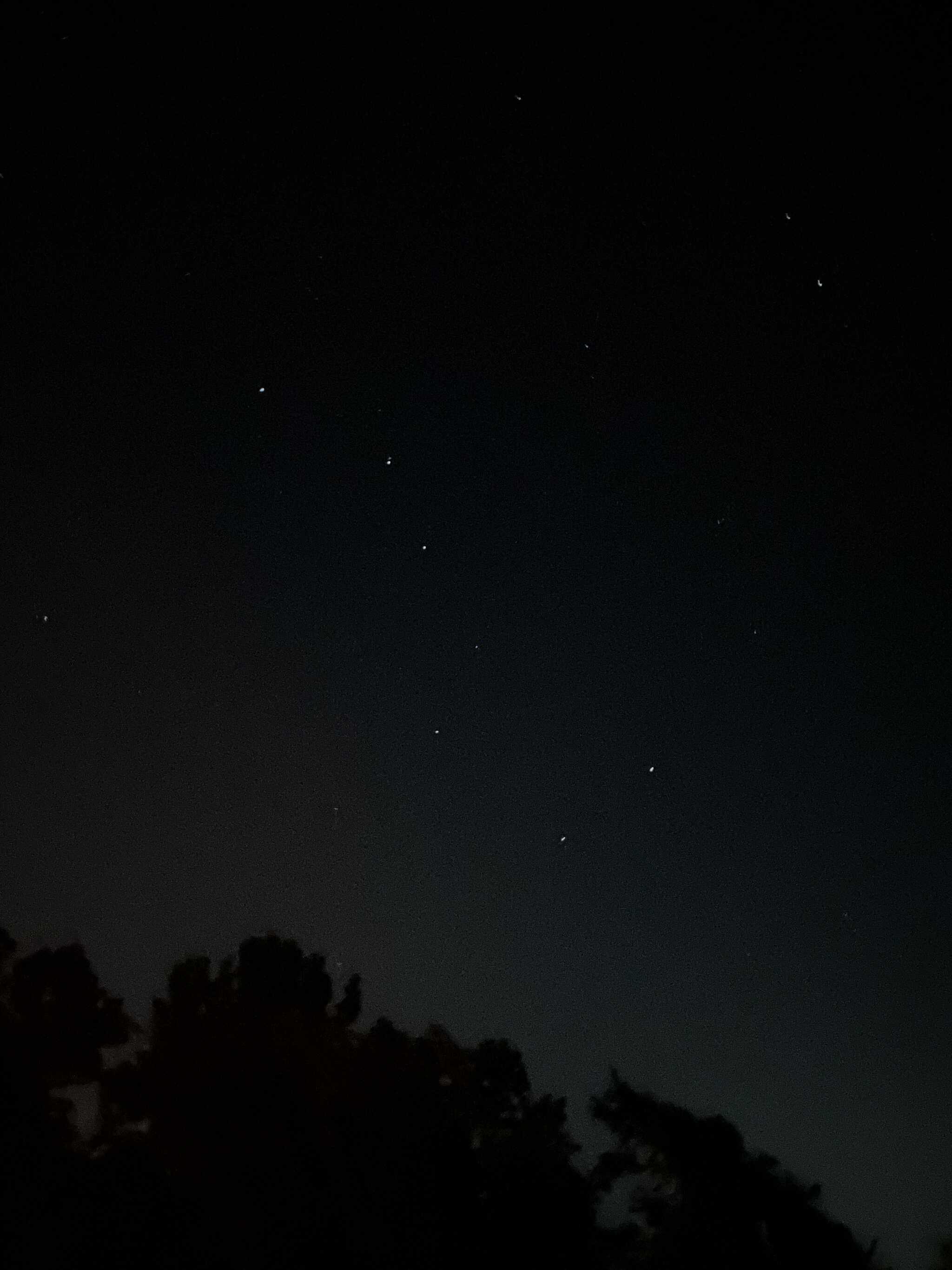 星空が綺麗
