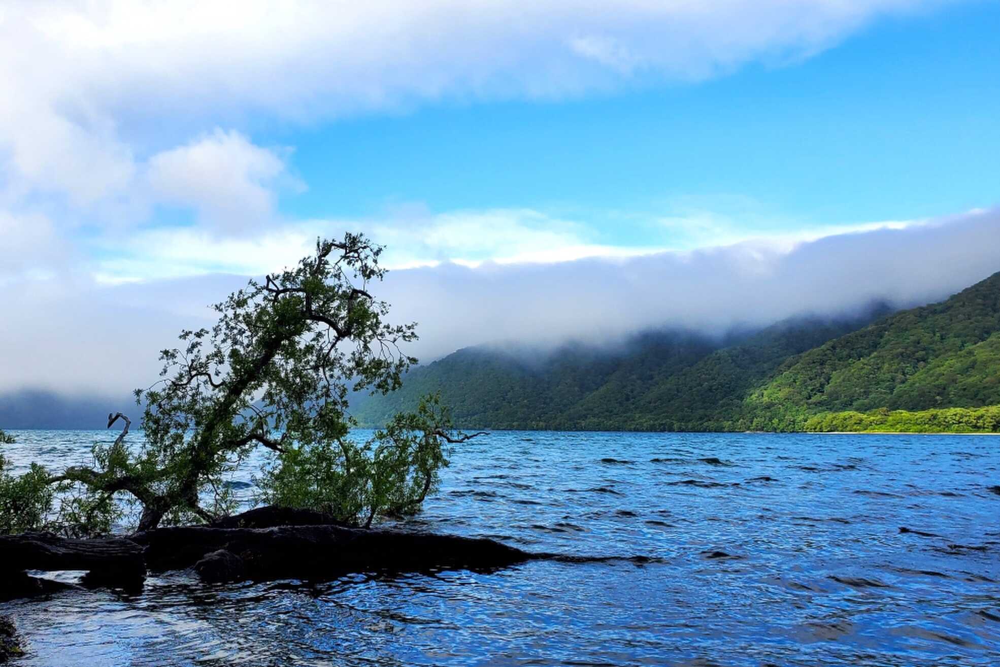 サイトから眺めた湖畔風景2