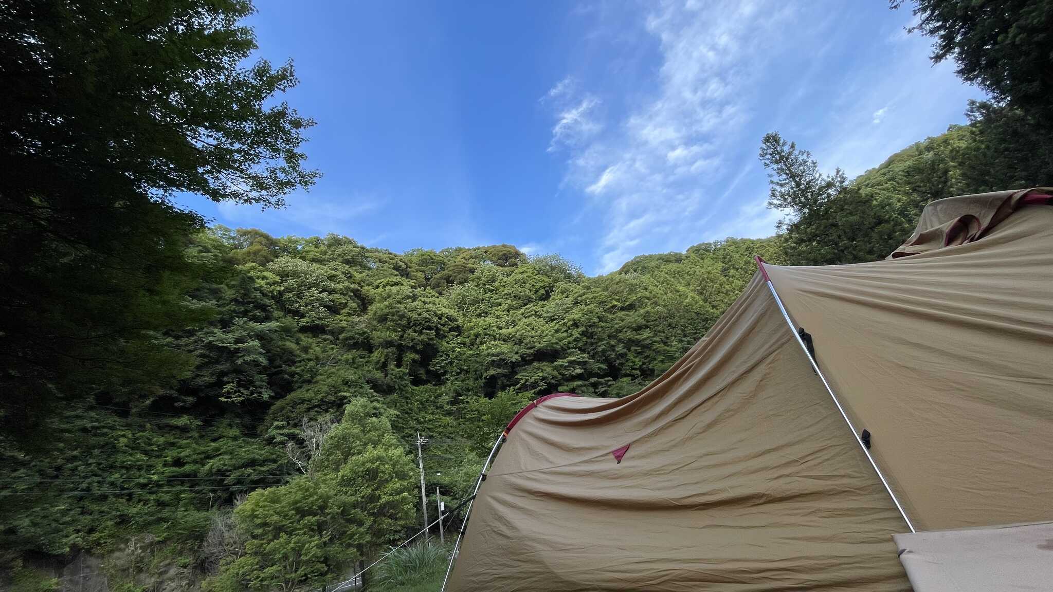 緑豊か