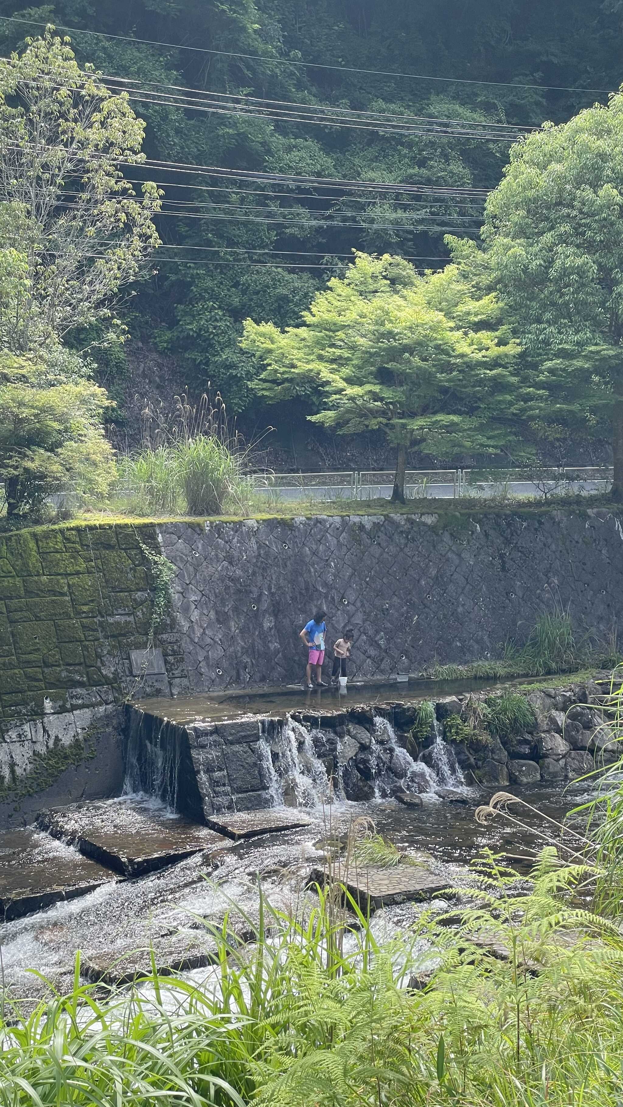目の前の川で魚取り