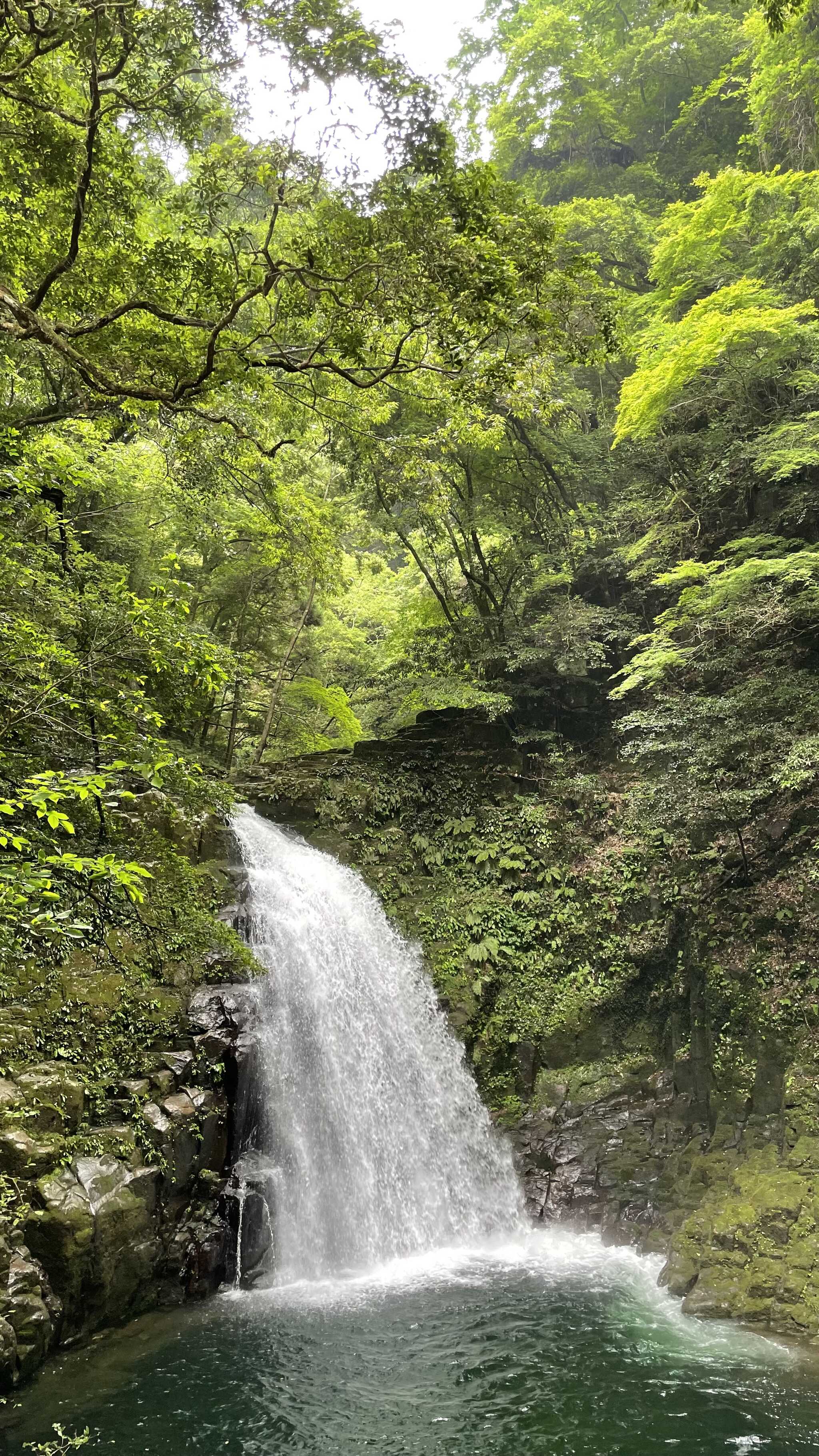 近くの滝