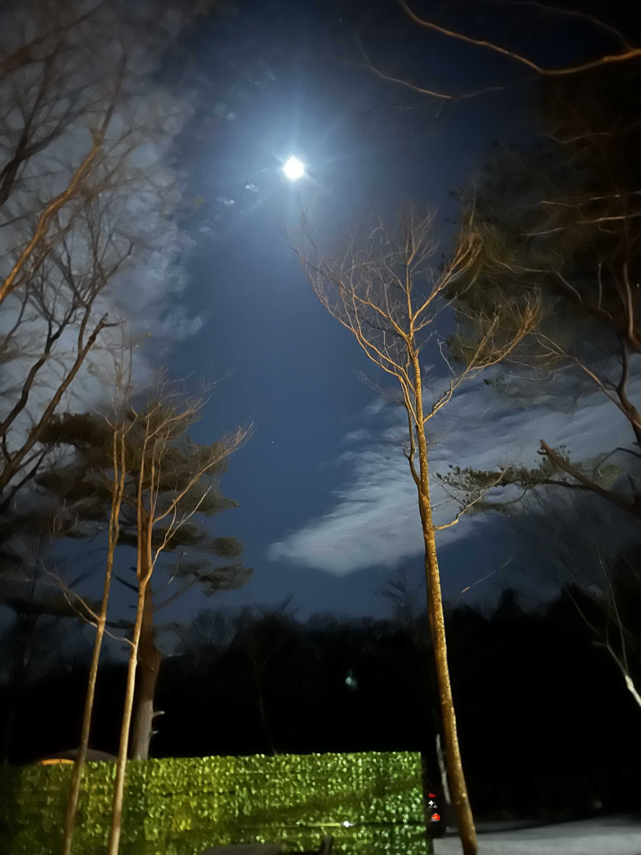 月