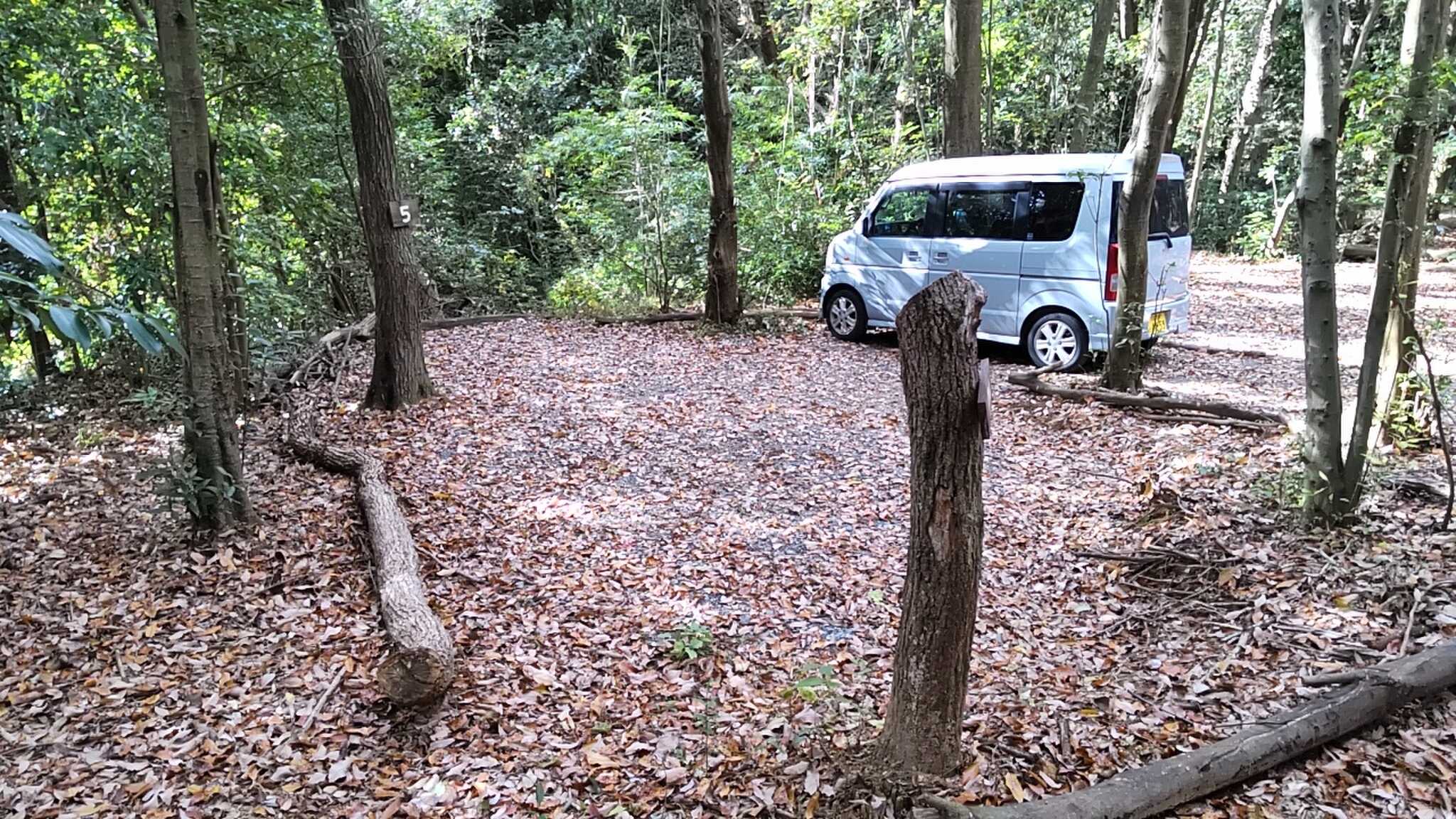 ソロには充分な広さです。