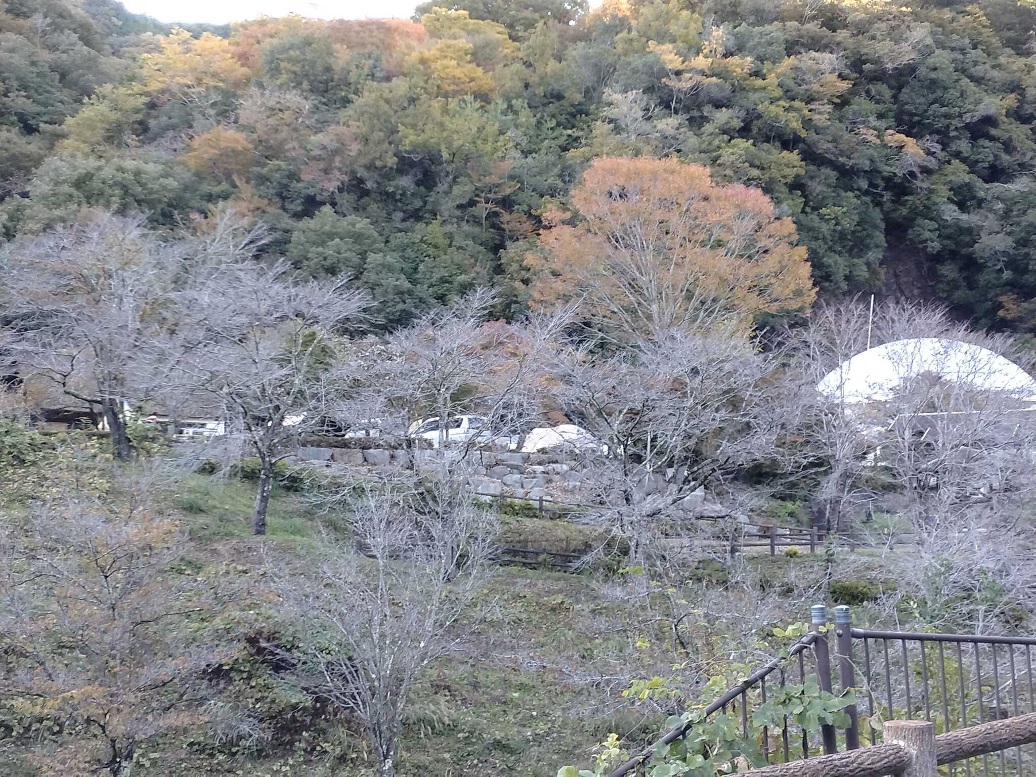 川向うからのサイト