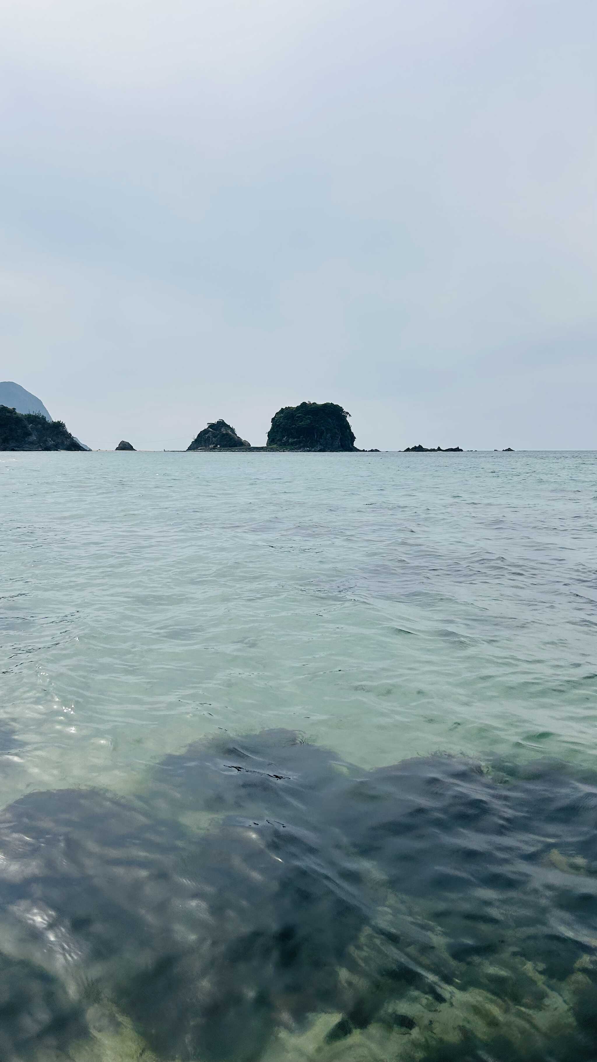 徒歩6分の海