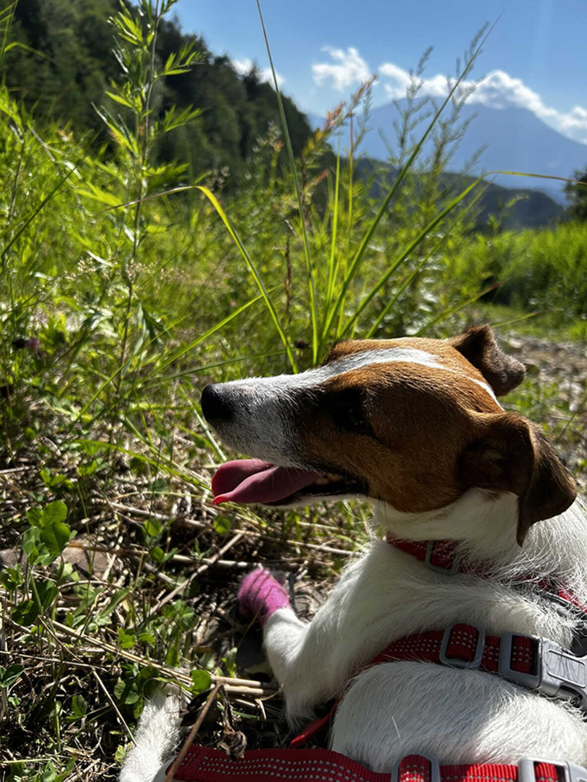 ゲレンデ中腹トレッキング