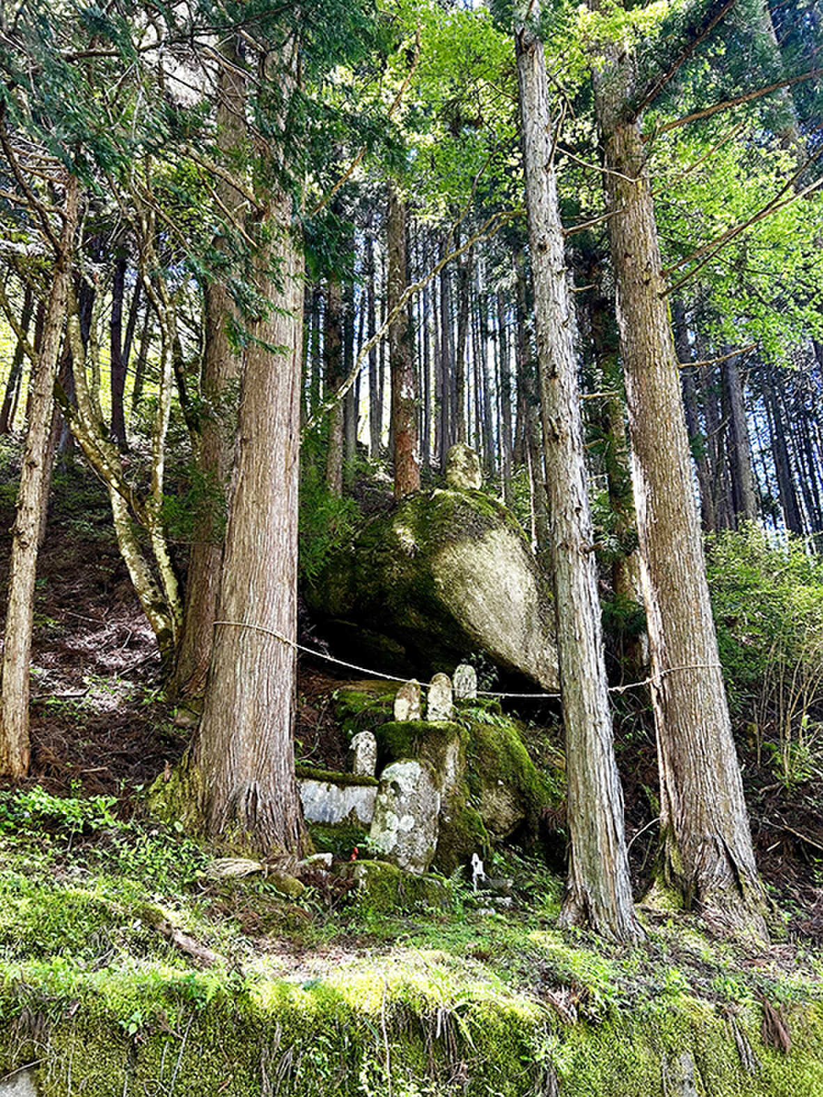 湧き水そばのなぜか落ちない巨石
