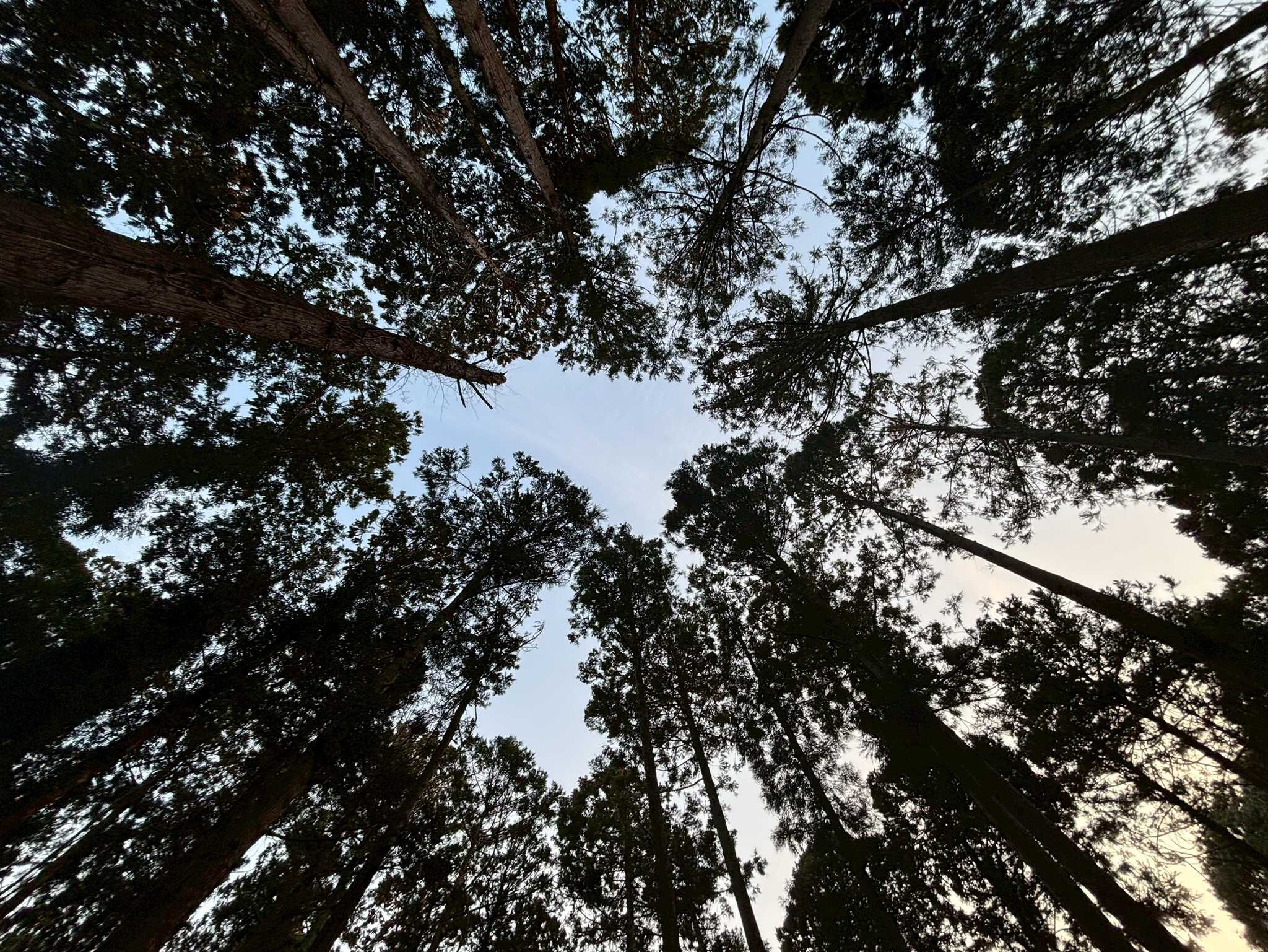 夜空