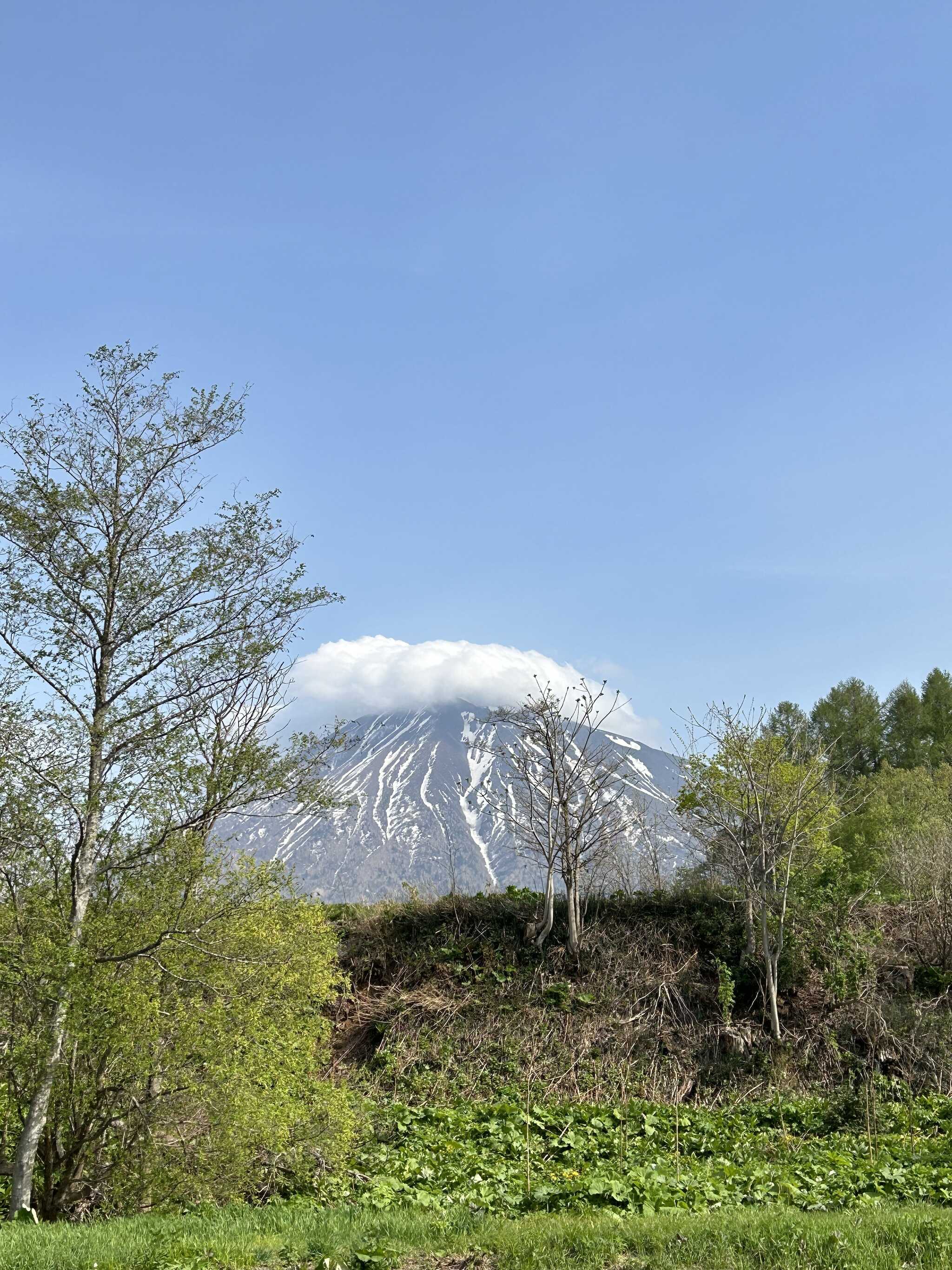 トレーラーハウスから見た羊蹄山