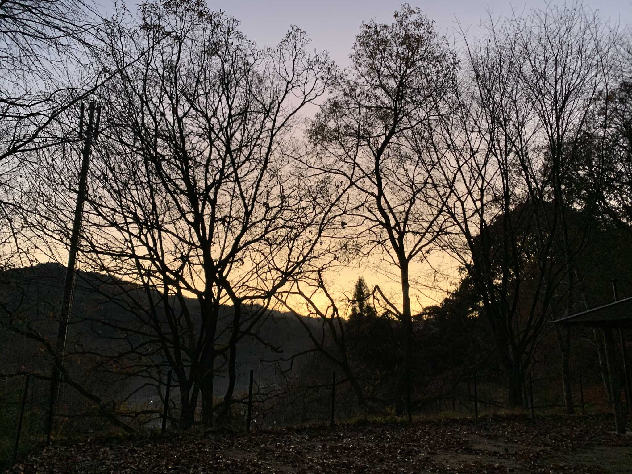 景観