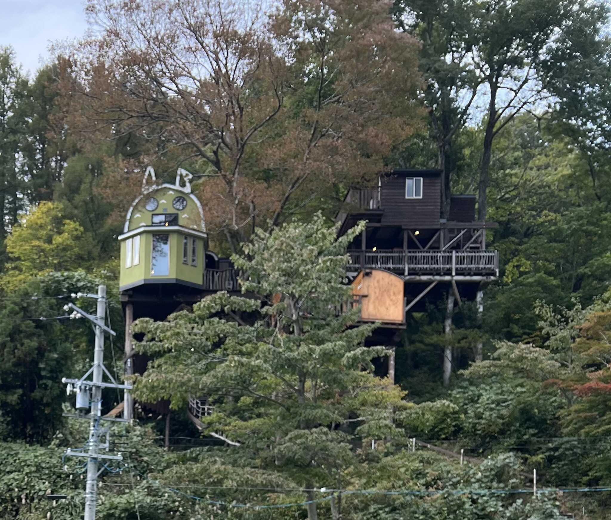 顔のあるツリーハウス