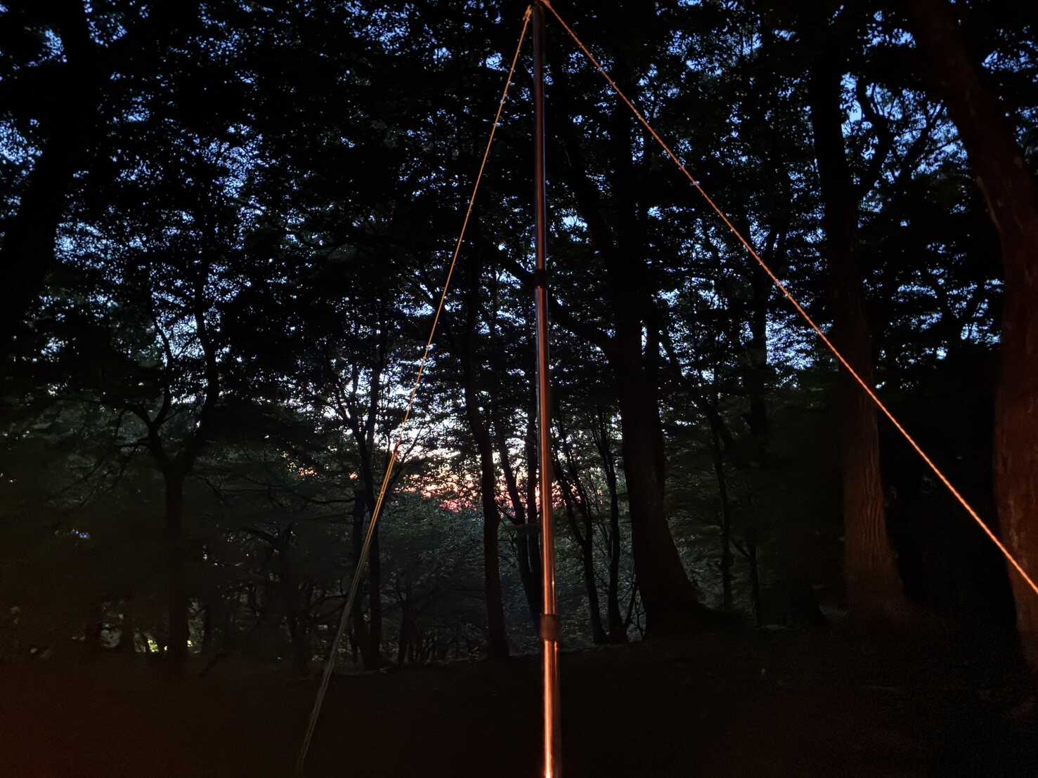 夜は真っ暗