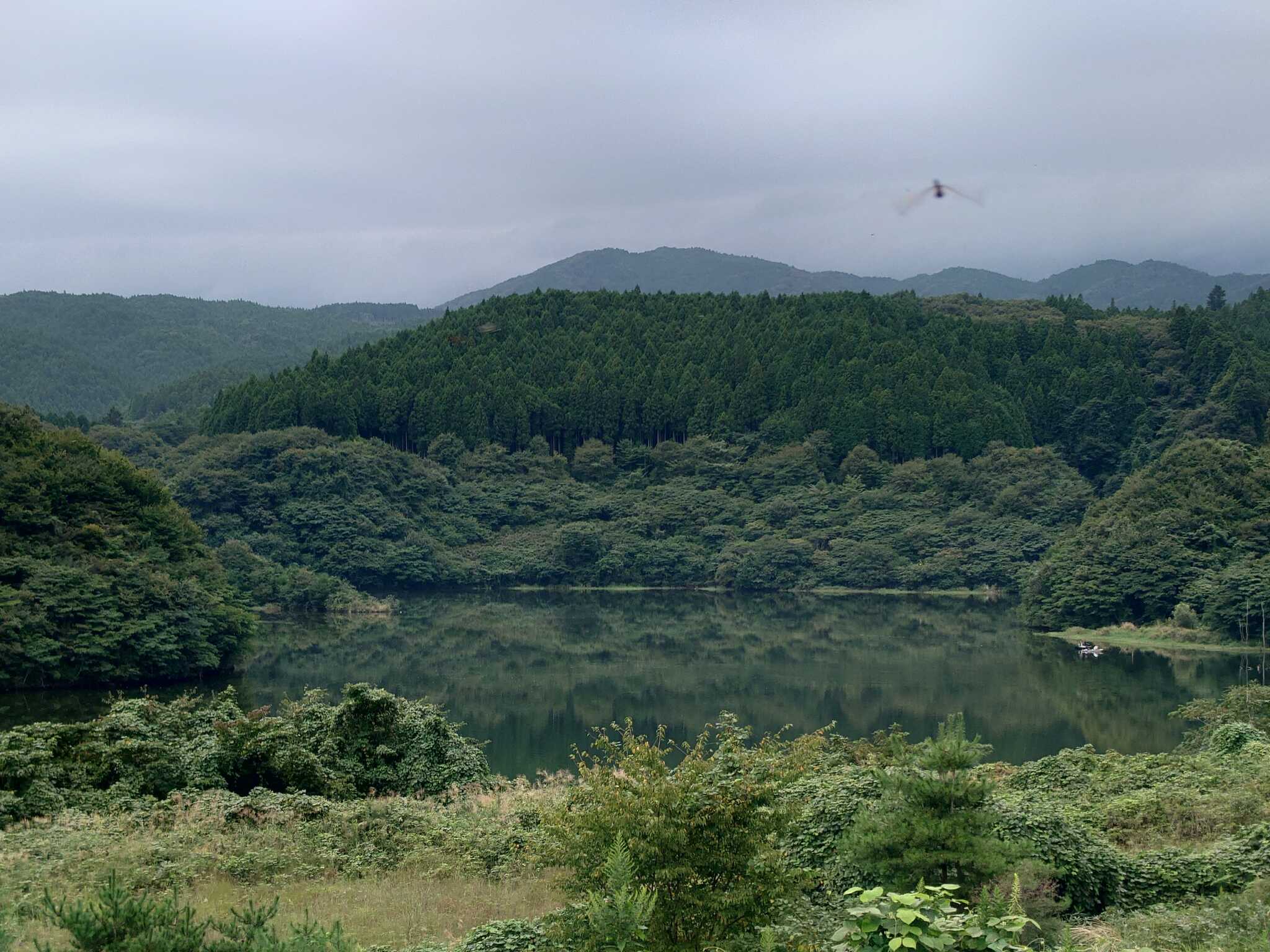 サイトより。