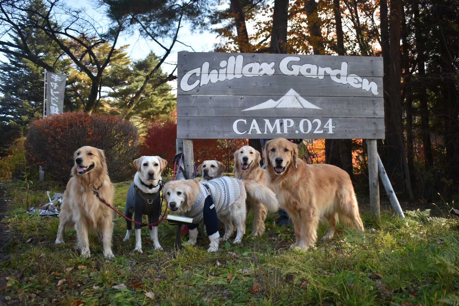 Chillax Garden CAMP.024の写真 1枚目