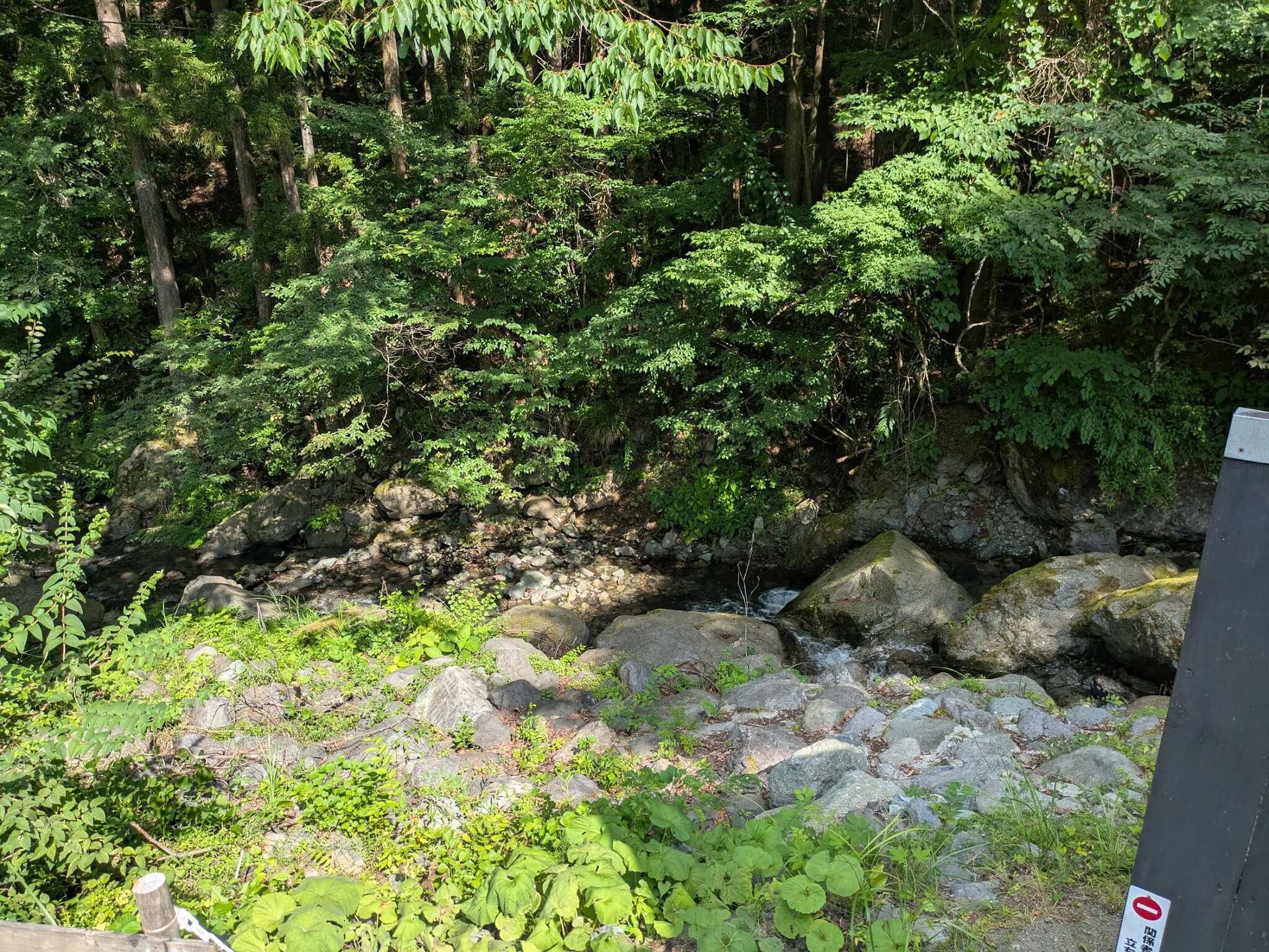 近くにはThe川が鳴き続けている
