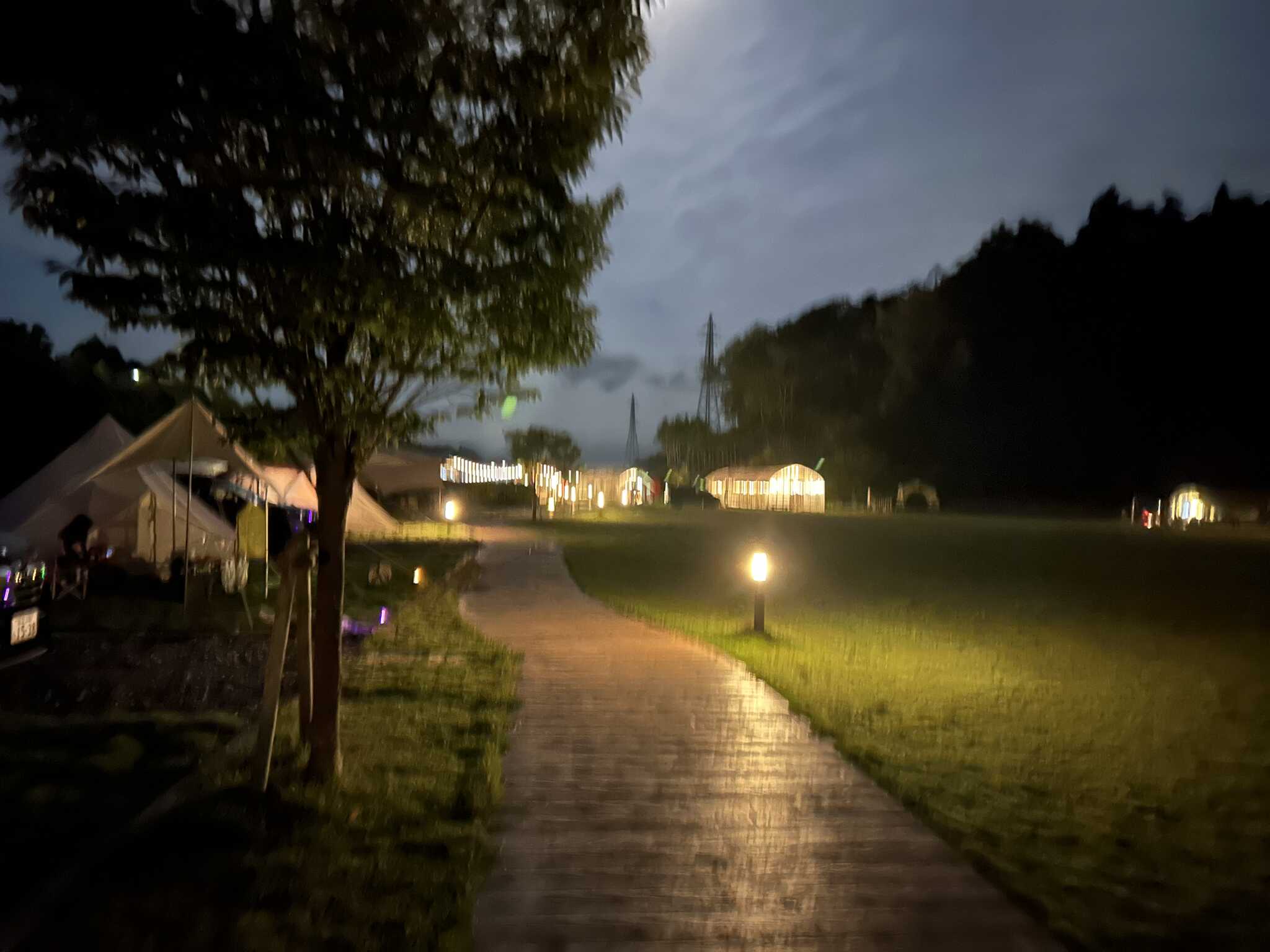 夜のライティングきれいでしたー